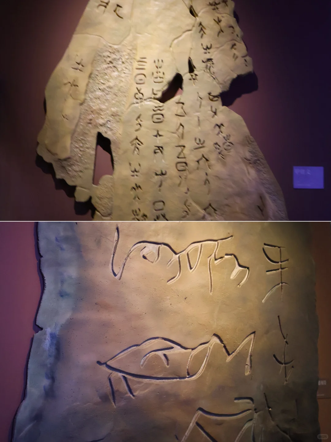 ?2025年第①个中华文明探寻大展·太震撼