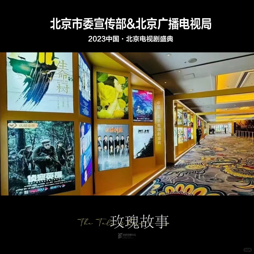 玫瑰故事登央视、浙江、江苏、北京等招商会