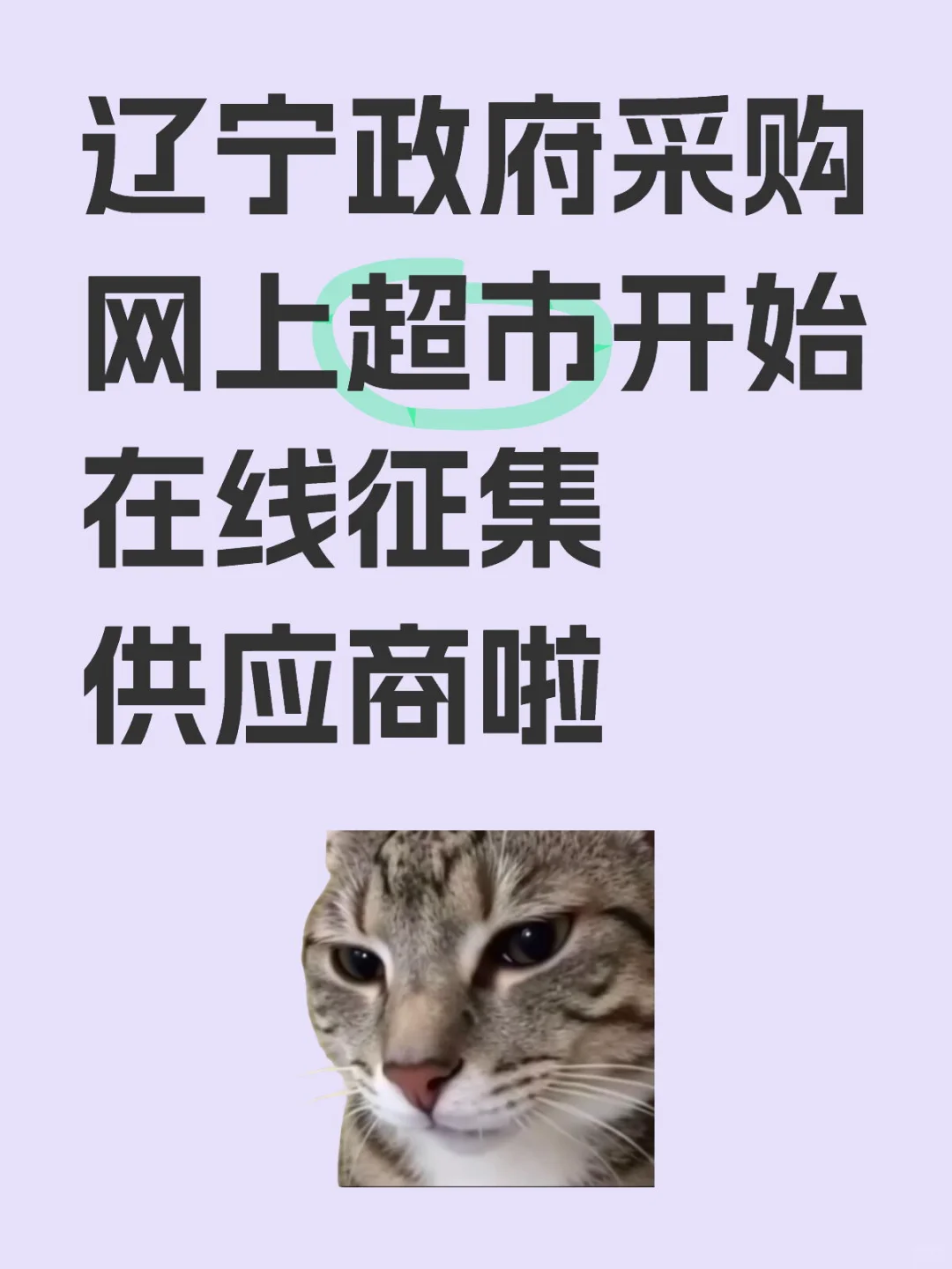 重磅消息，辽宁政府采购网开始征集供应商啦