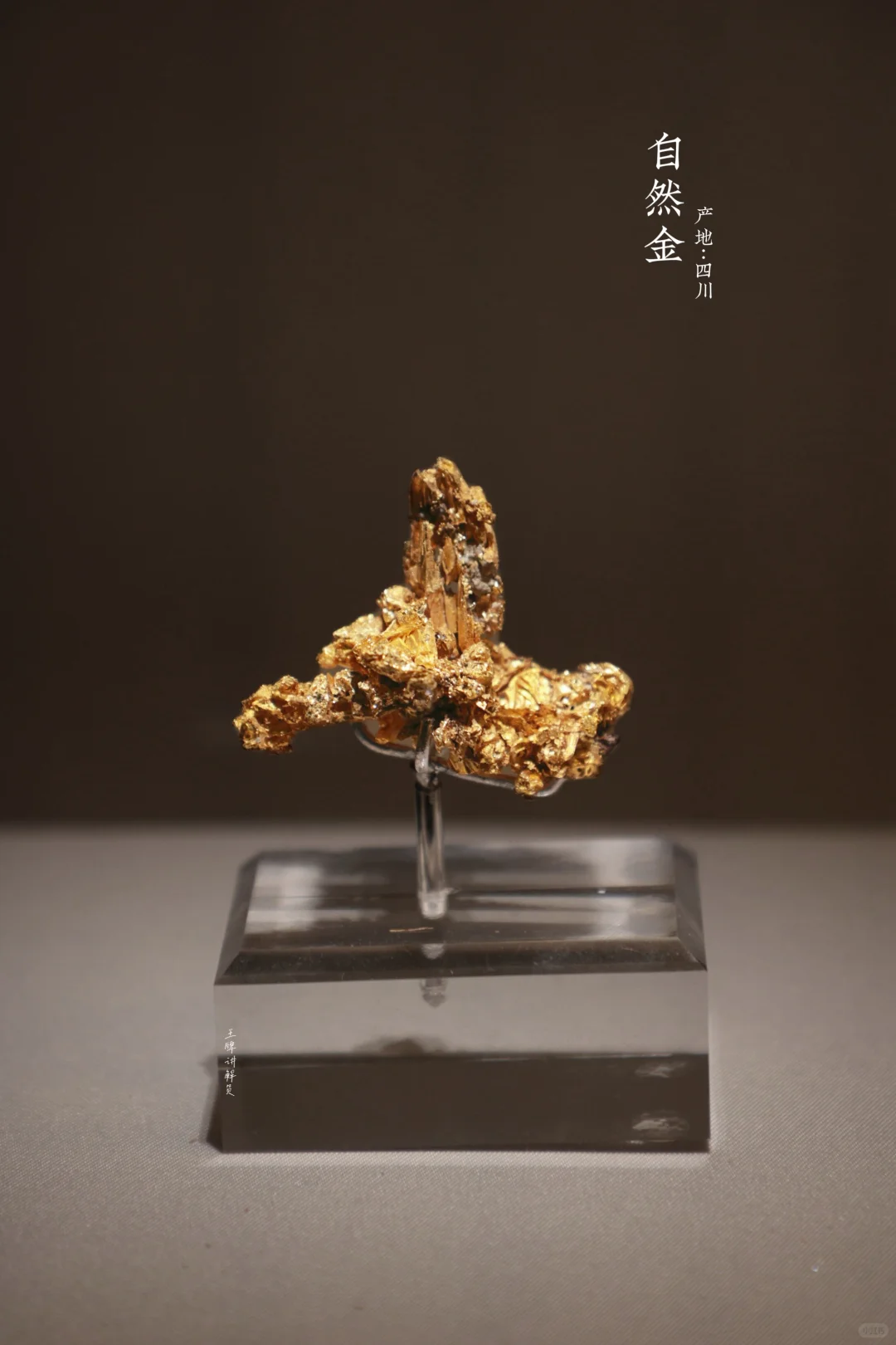 “我不是萝卜”