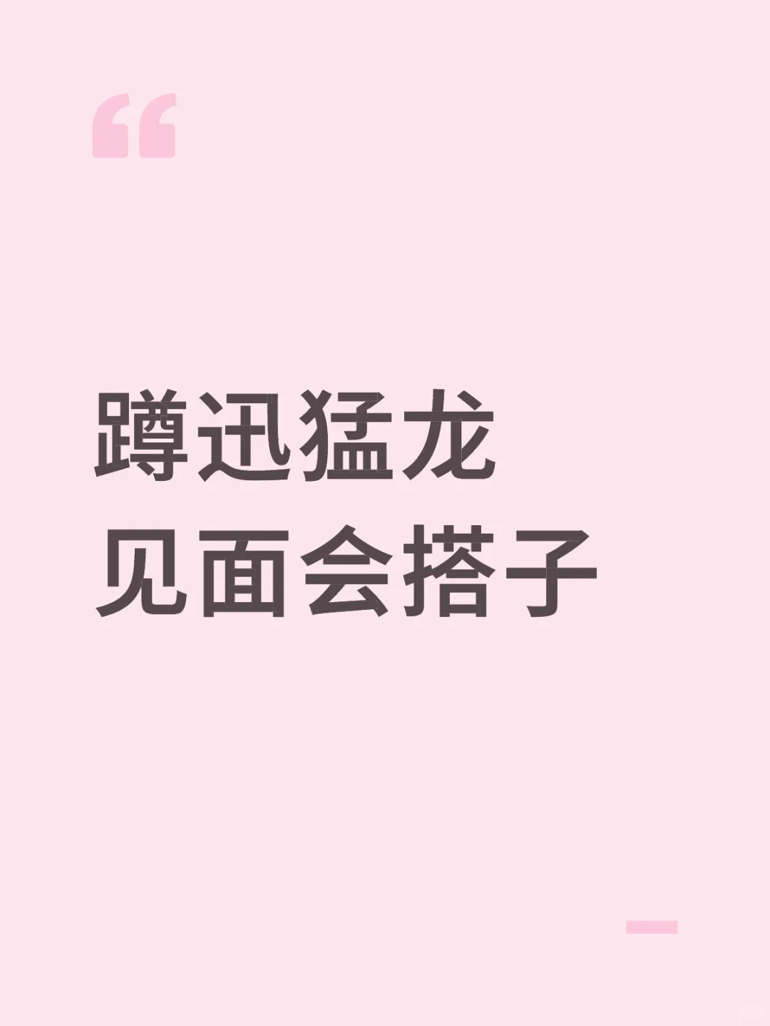 蹲迅猛龙见面会搭子