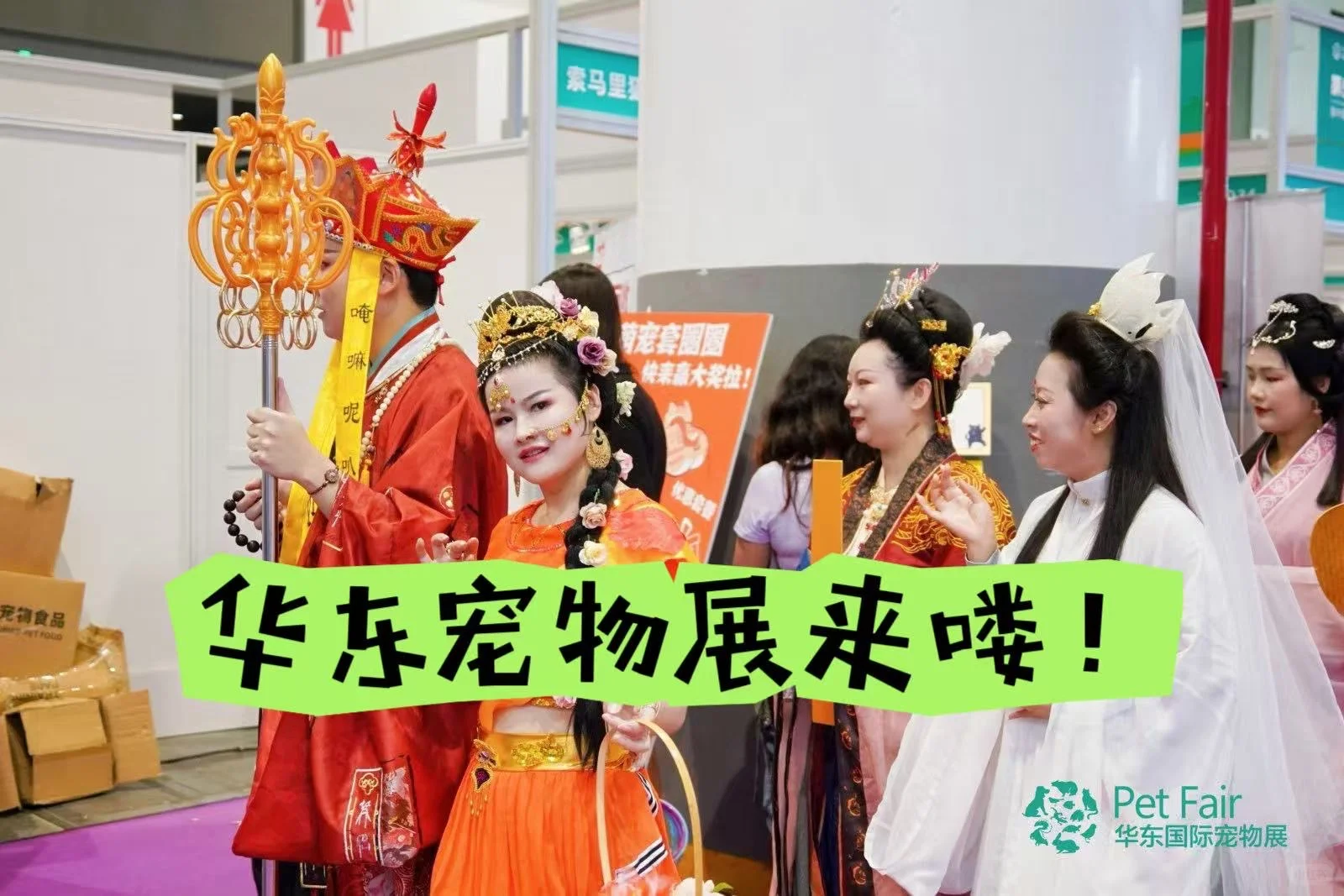 宠物版 “时装周”华东宠物展萌宠走秀萌化人