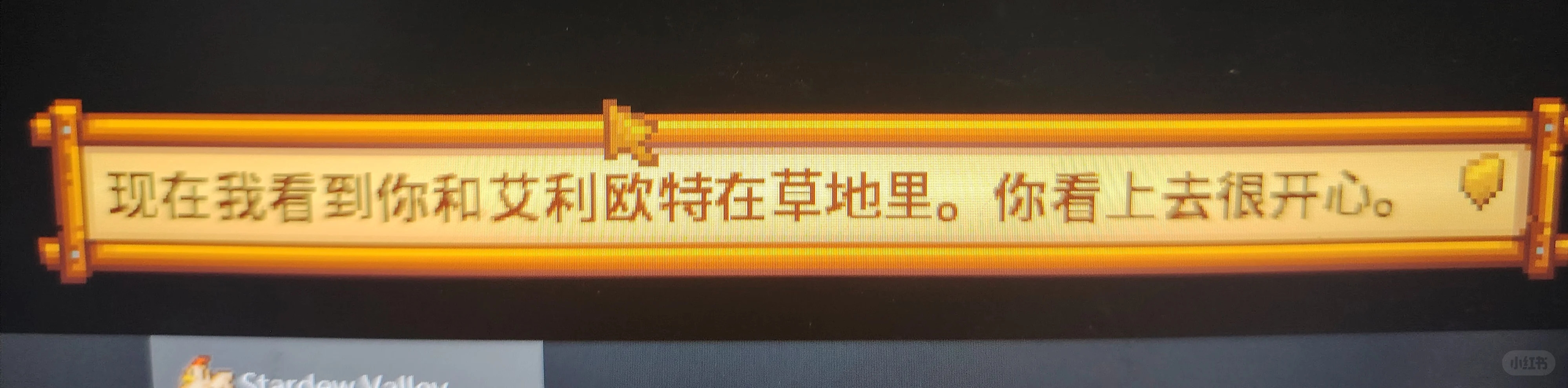 老乡,秋季展览会又来啦~