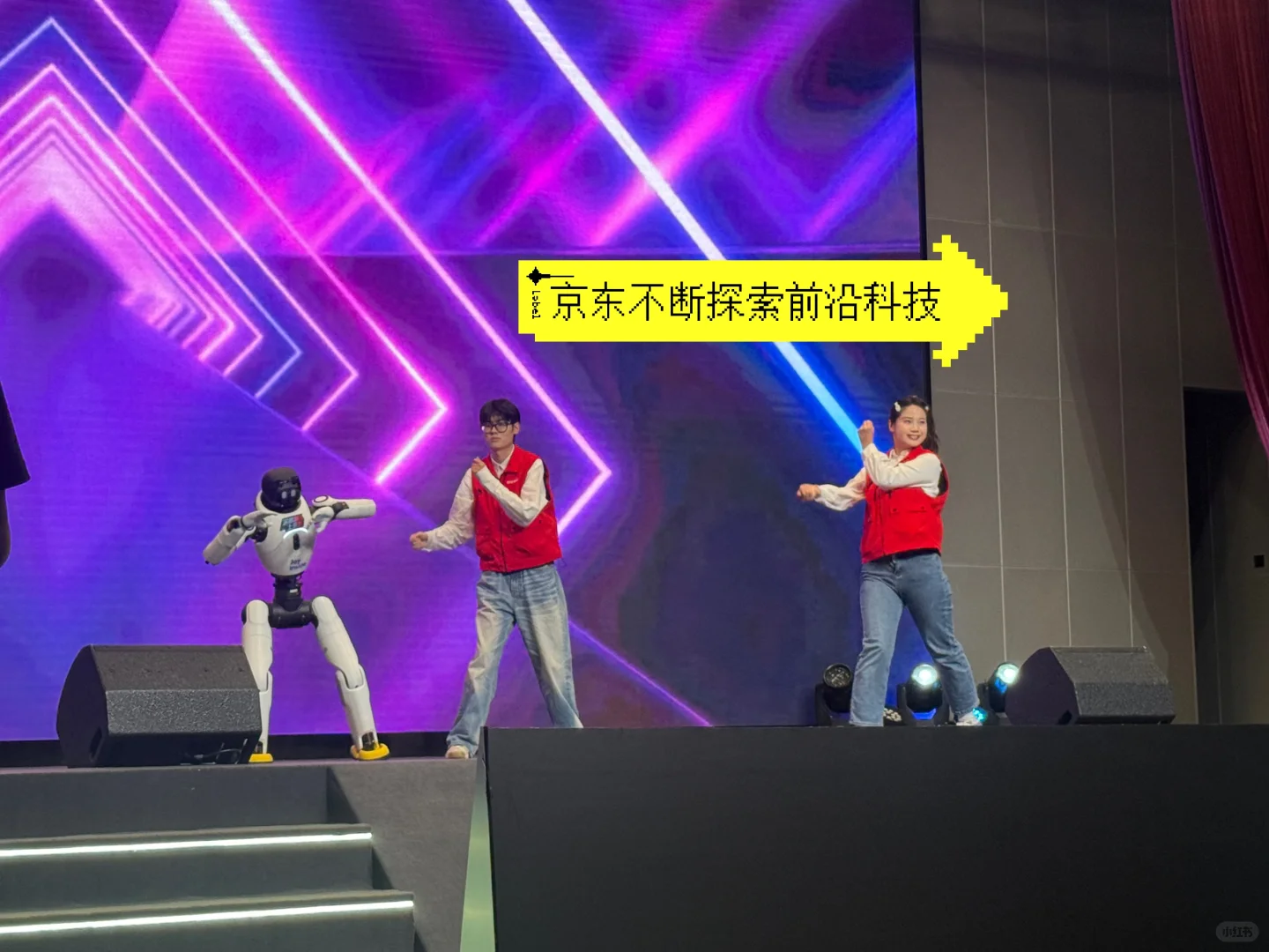 ?又被京东宠啦!双十一发布会深度体验?