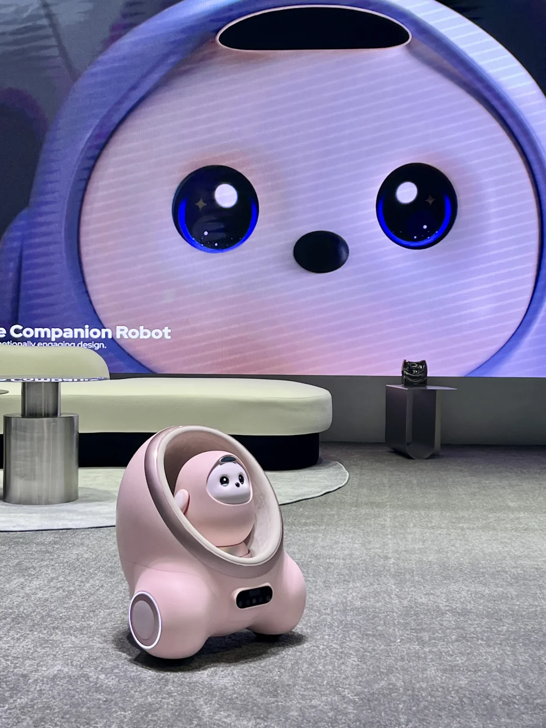 CES 2025消费电子展 看到很多中国品牌