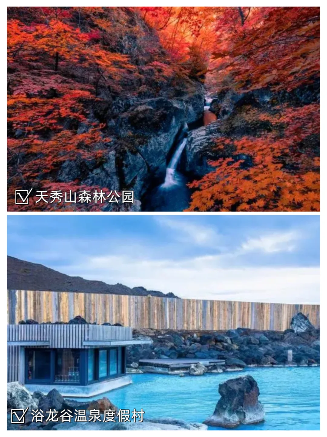 官宣！下一届承办地：朝阳