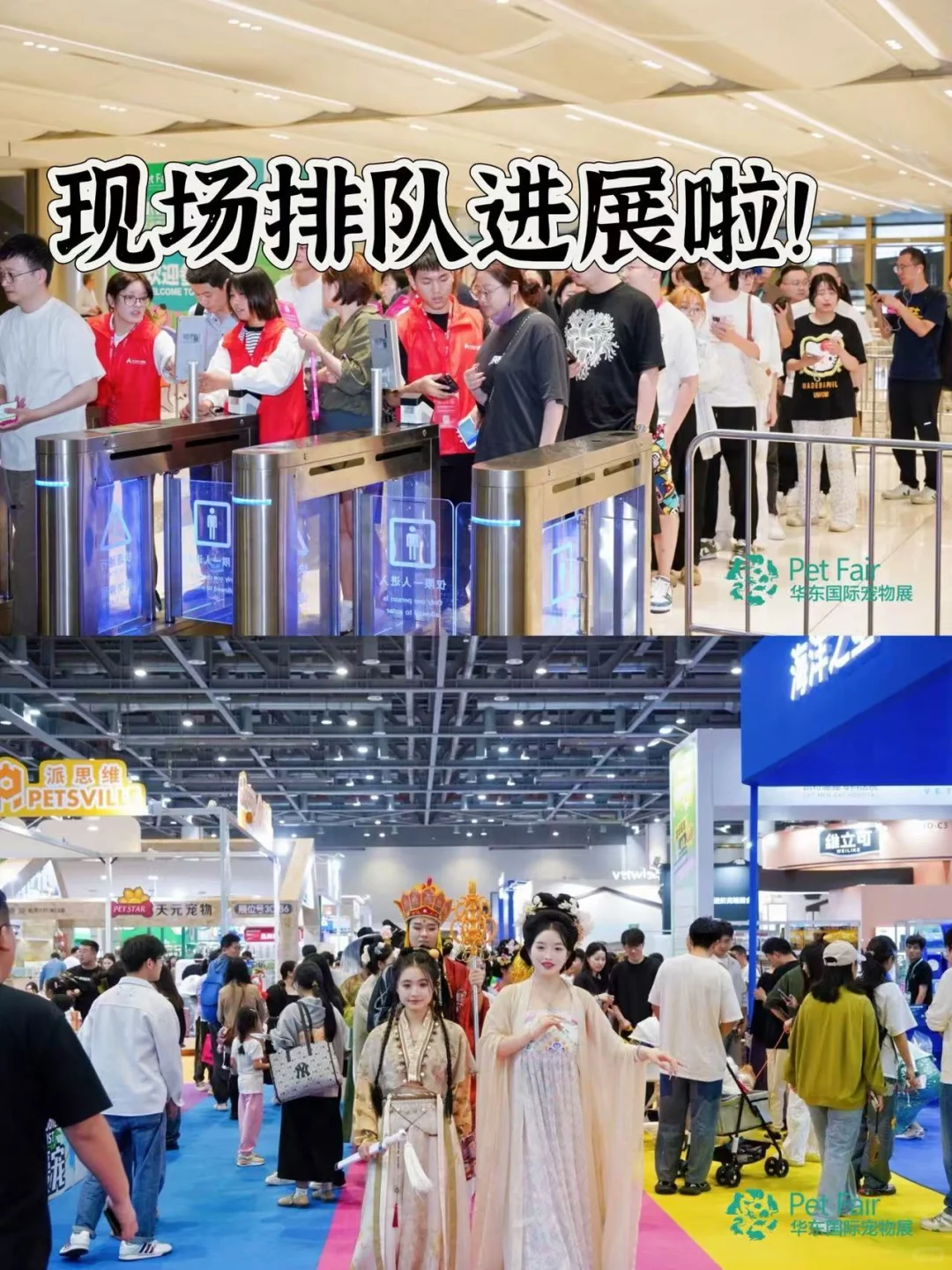 养猫人必冲！华东宠物展攻略