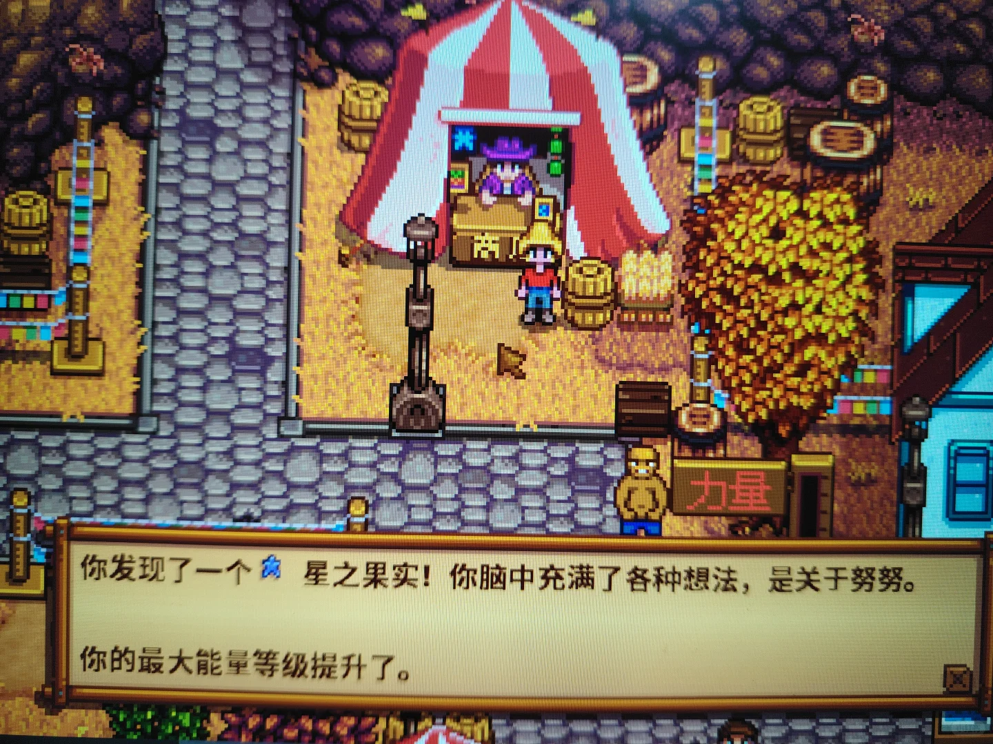 老乡,秋季展览会又来啦~