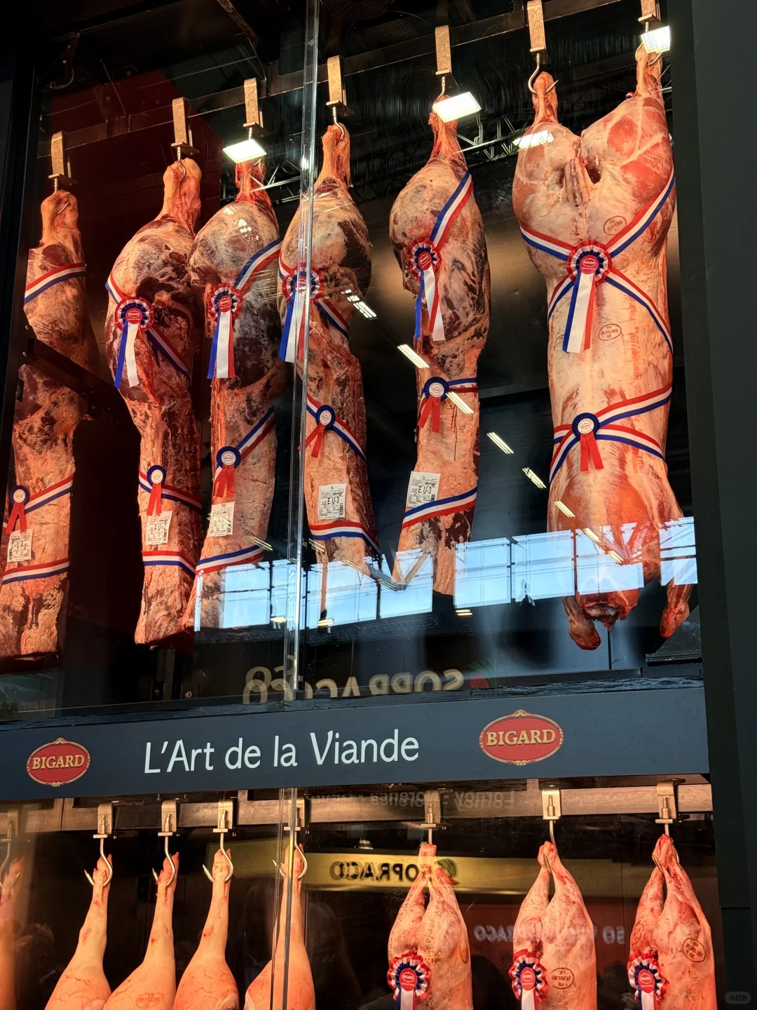 全球最大的食品展