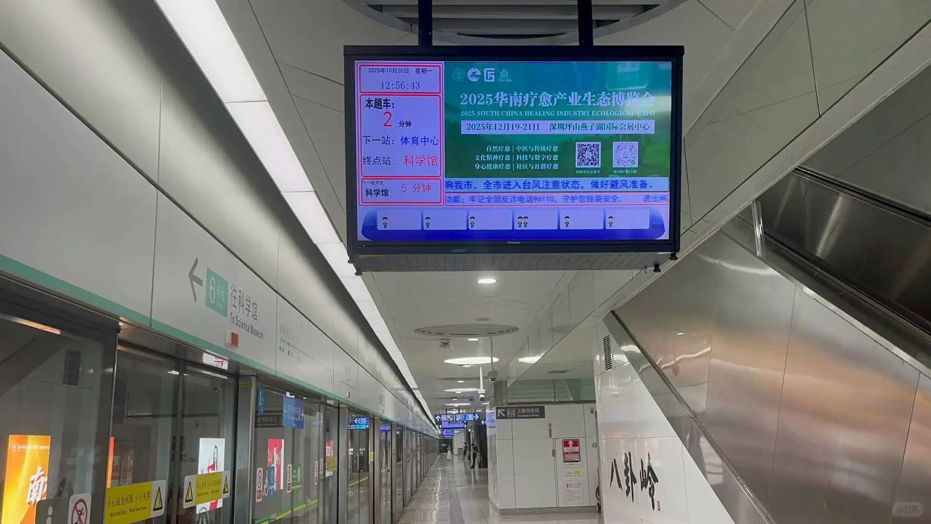 华南疗愈产业生态博览会太豪横了