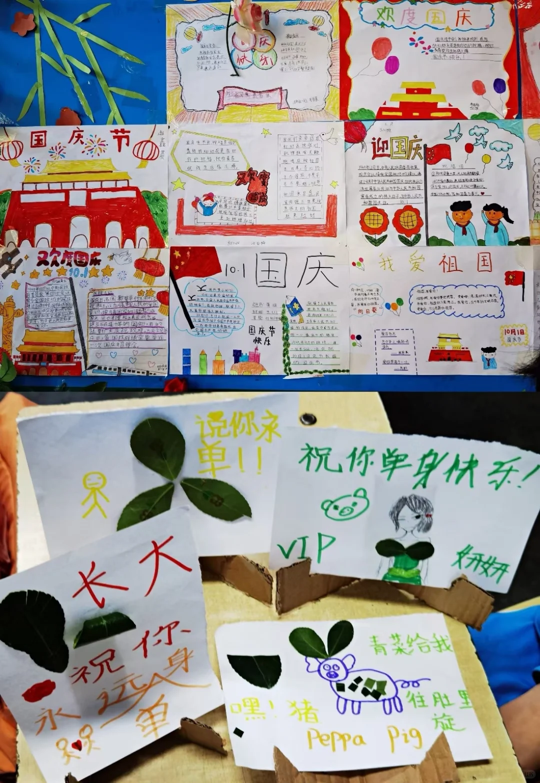 如何报名冬奥、一带一路、支教志愿者(二)