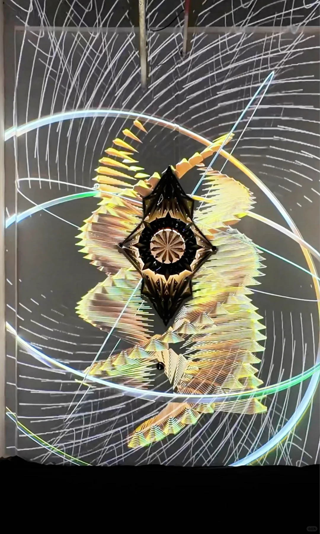 深圳绝美新展❕免费的❗️超震撼的裸眼3D光影