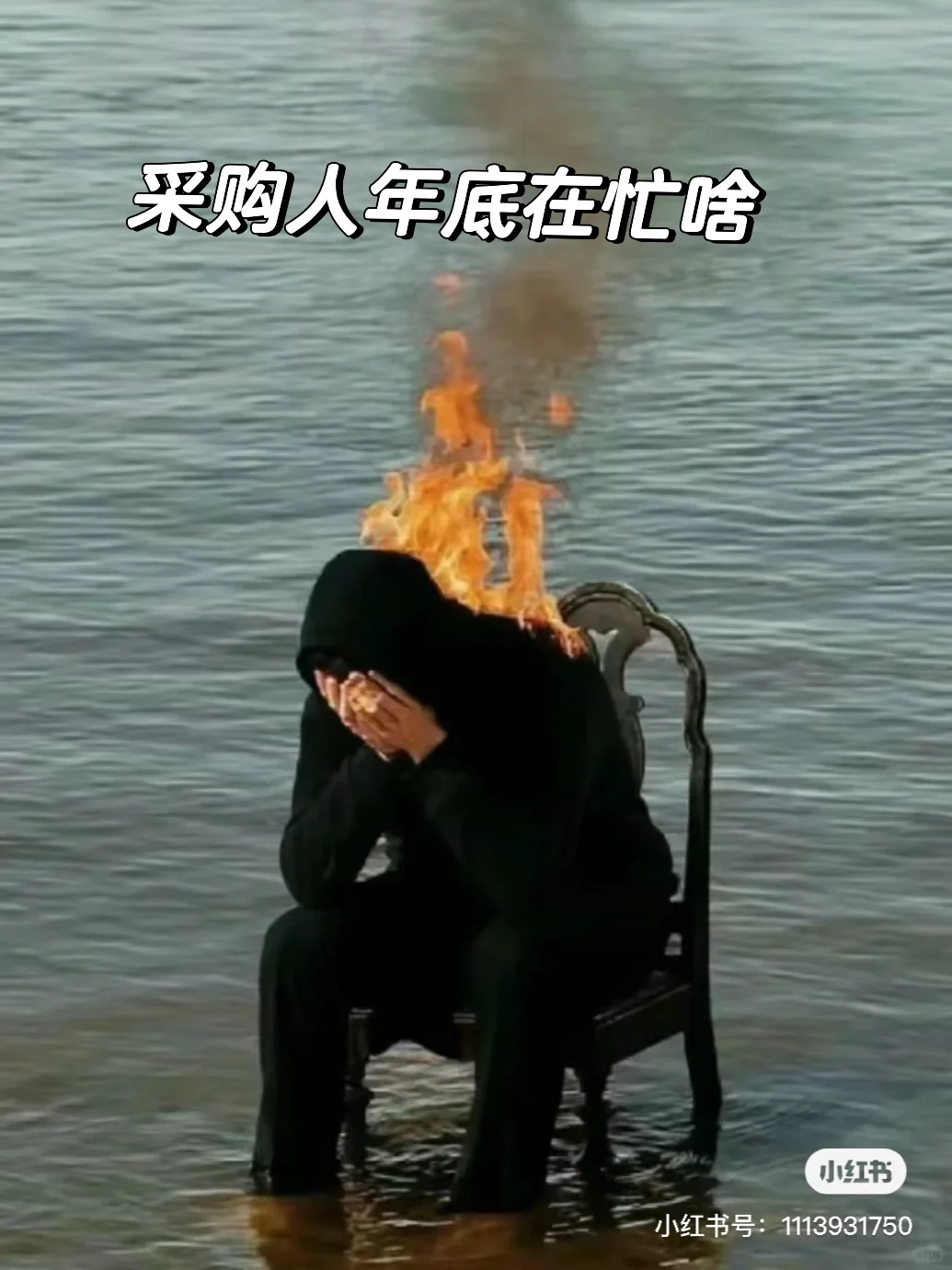 采购人年底在忙啥