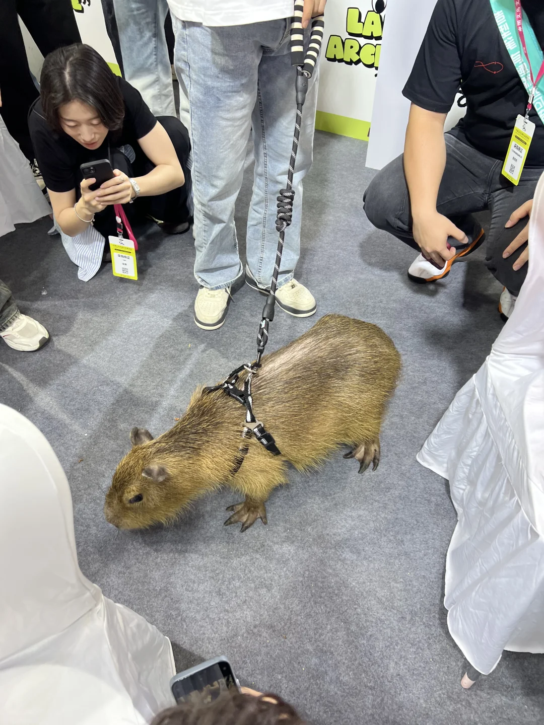 谁懂！这个文具展！！！真不白来…