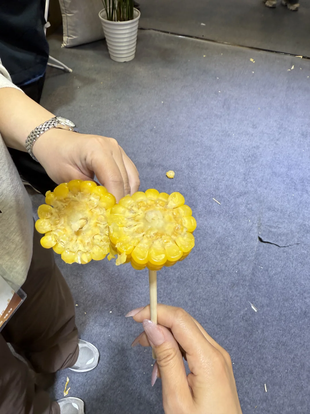 天津农交会疯狂试吃！