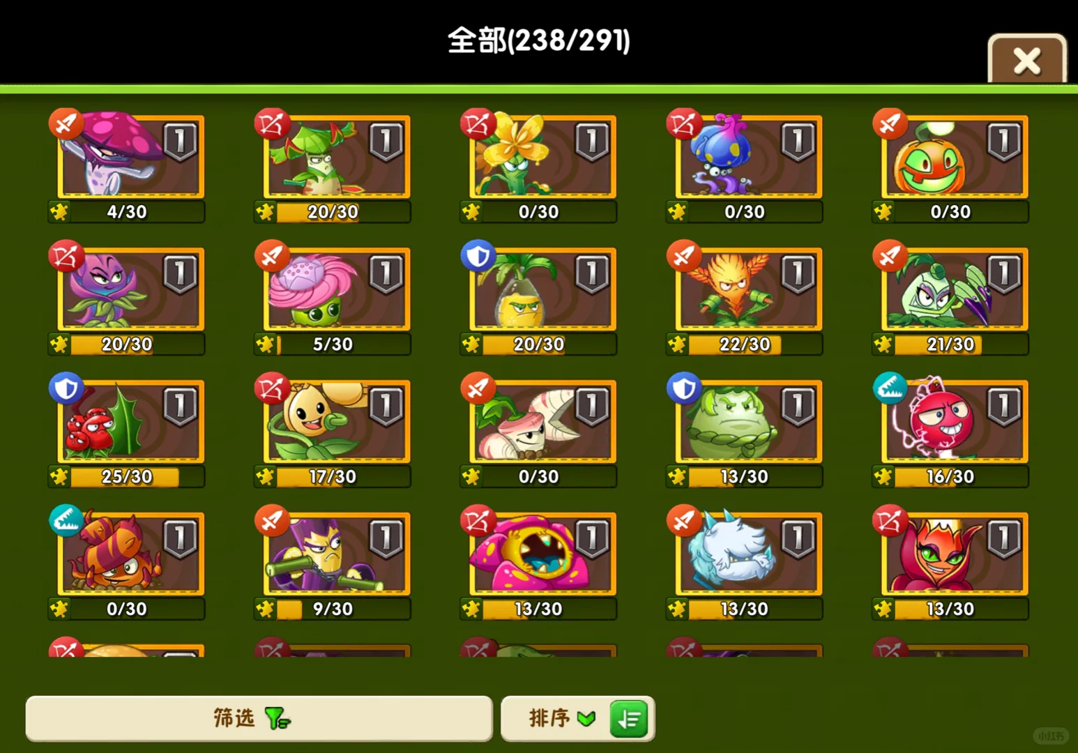 双十一团购买什么！