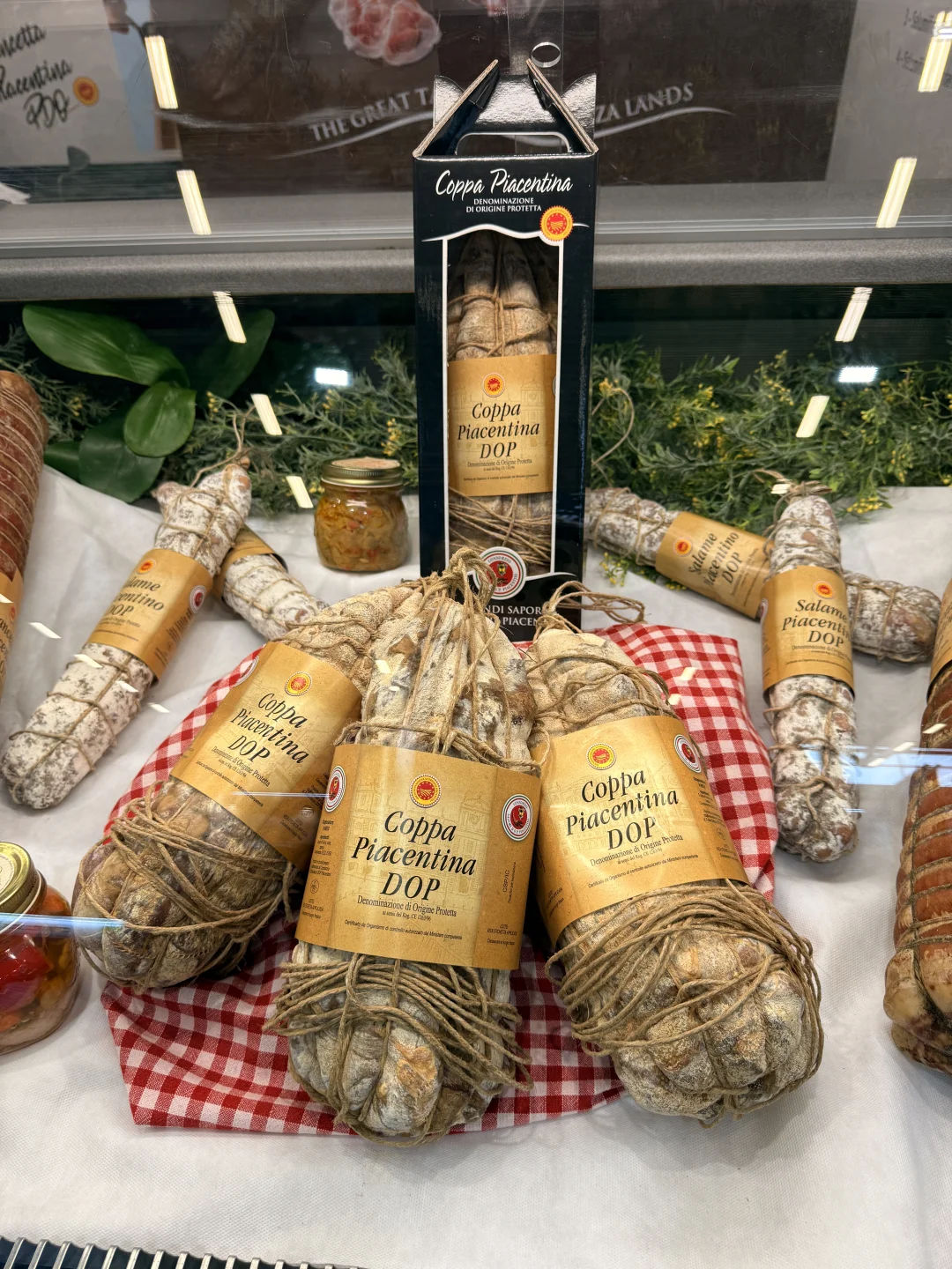 全球最大的食品展