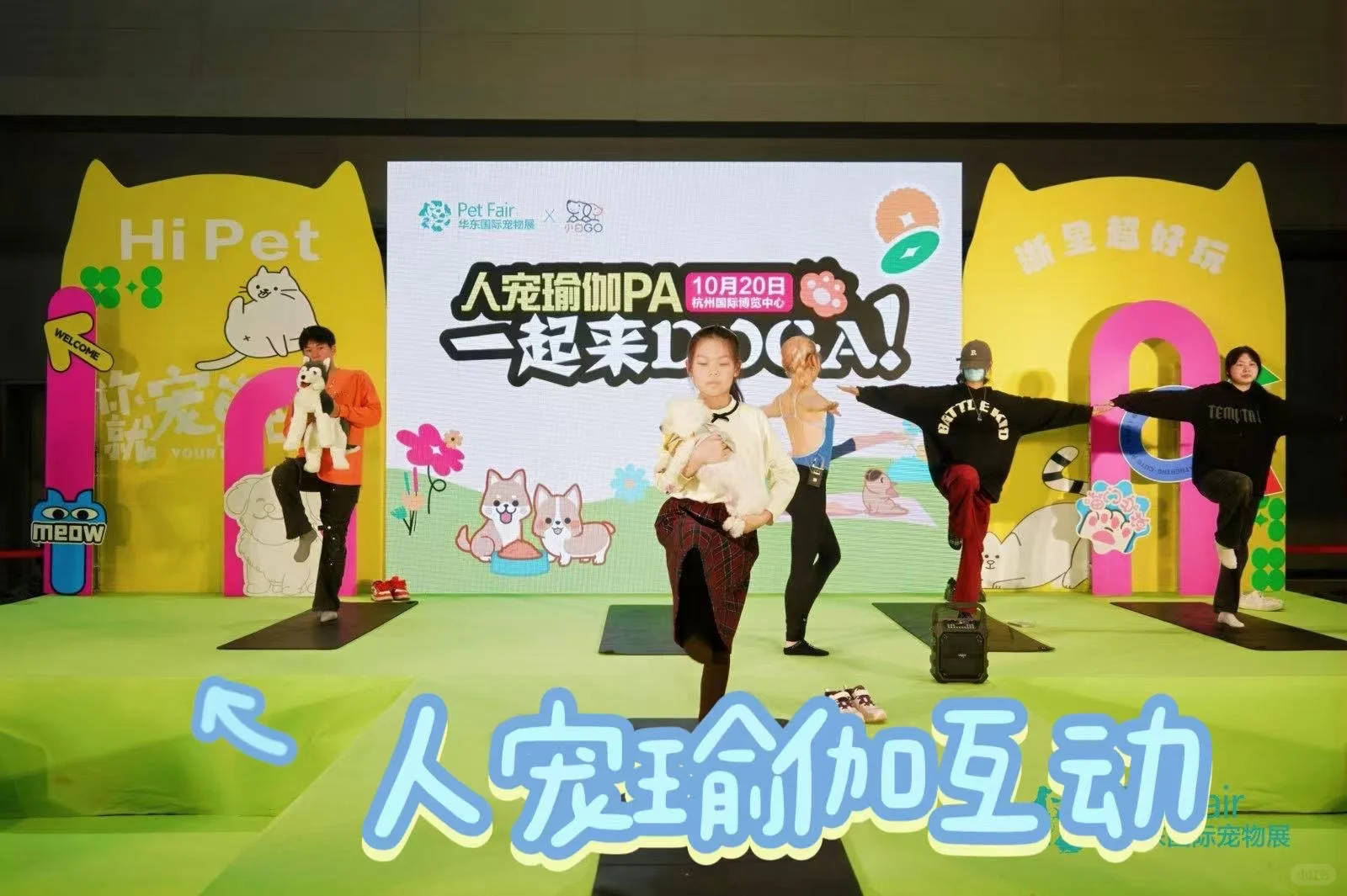 宠物版 “时装周”华东宠物展萌宠走秀萌化人