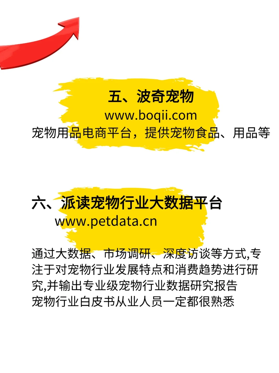 宠物行业6大神仙网站,你是否了解这些工具