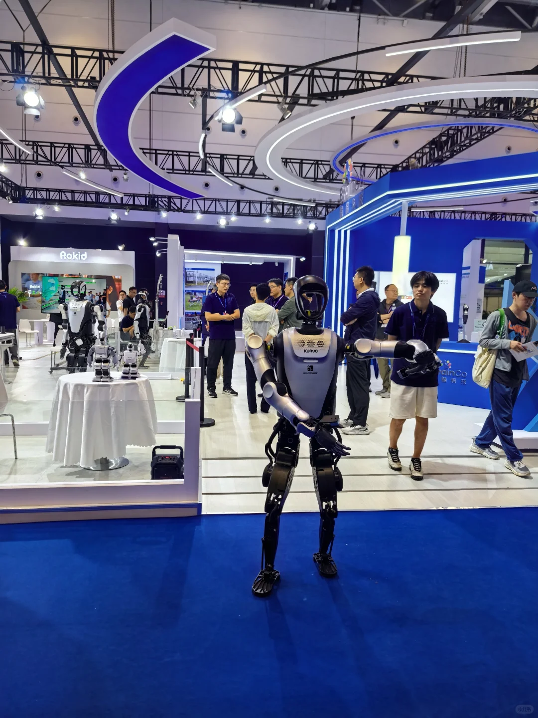 沉浸式逛展，电子消费博览会