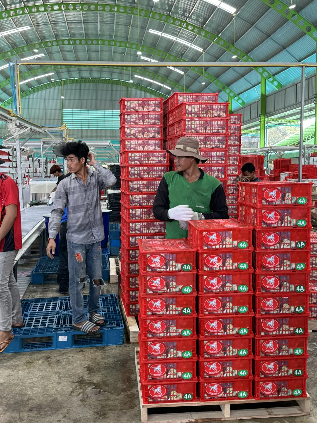 跨境采购榴莲的付款方式