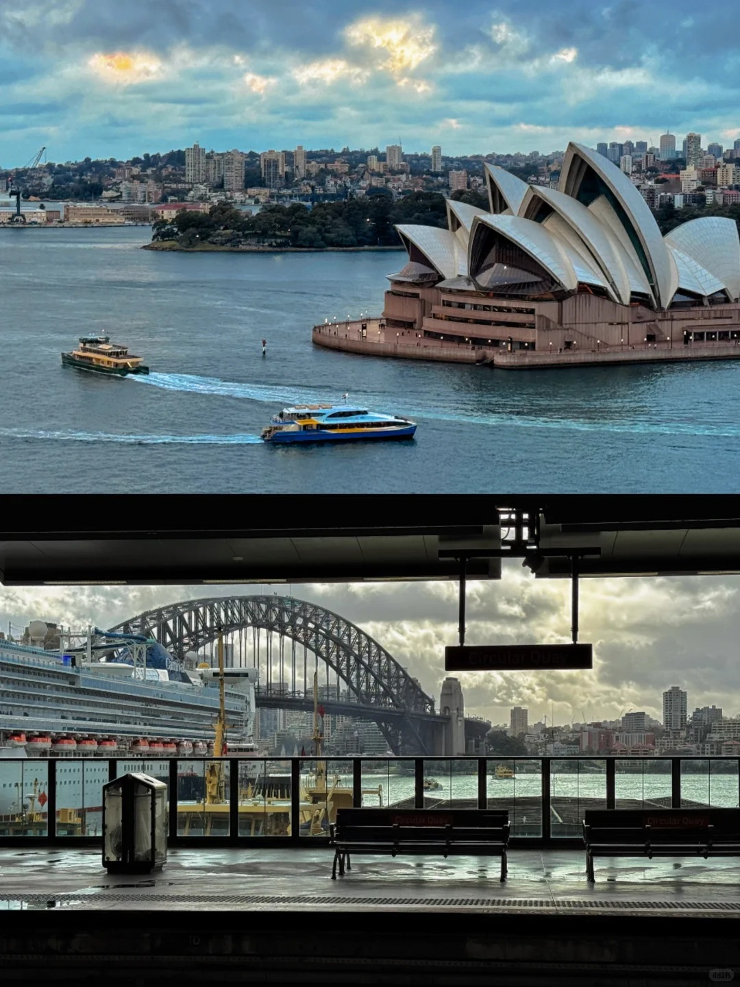 Rainy day in Sydney??雨天的悉尼也好美