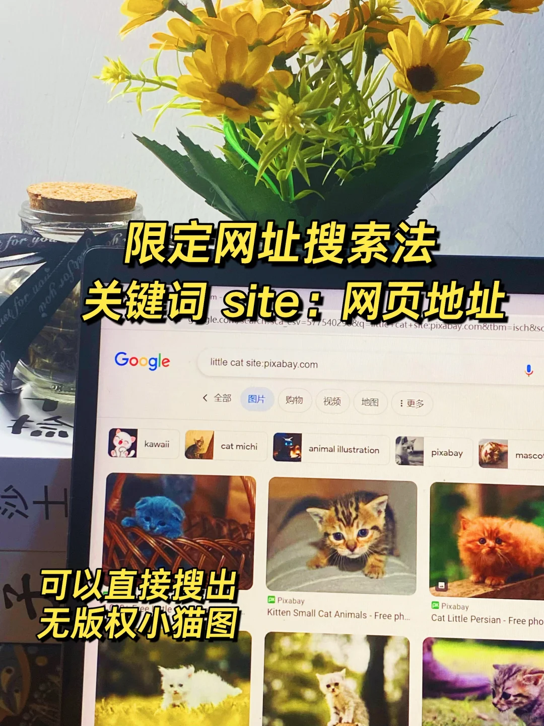 普通人变强的的唯一外挂，信息搜索能力