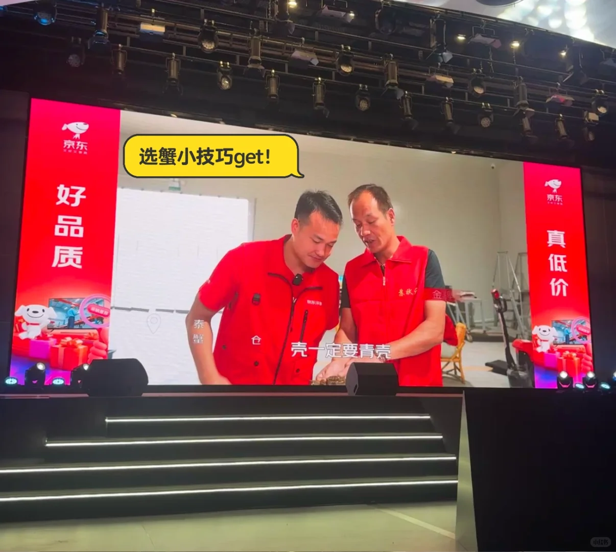 ?又被京东宠啦!双十一发布会深度体验?