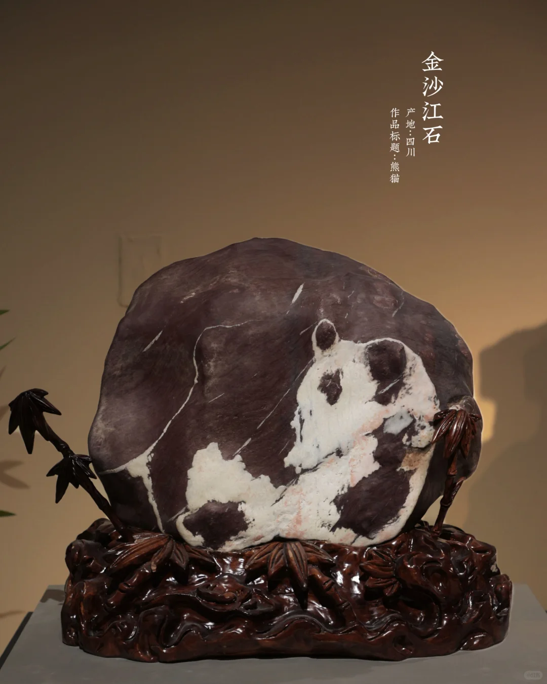 “我不是萝卜”