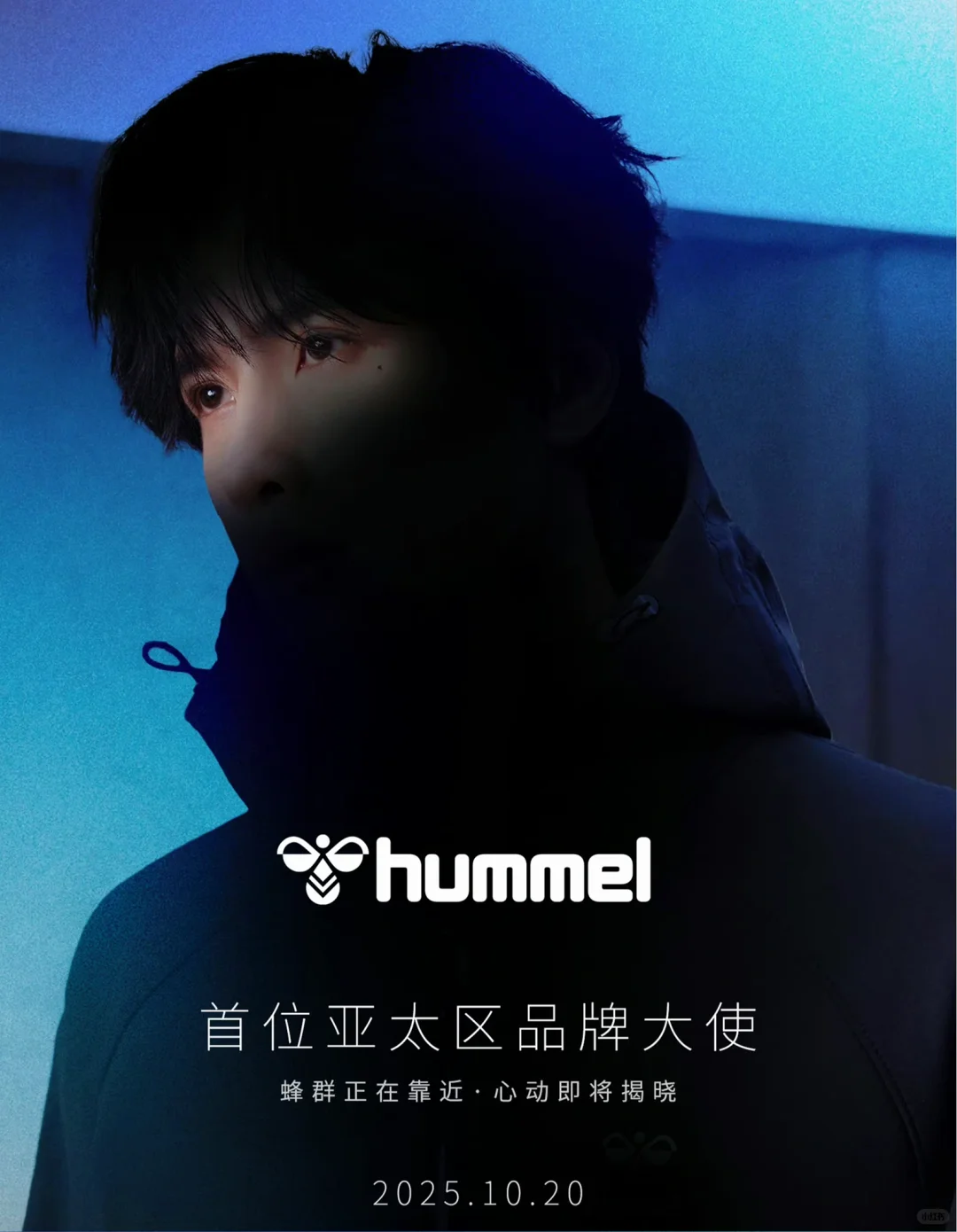 展轩 ✖️ hummel