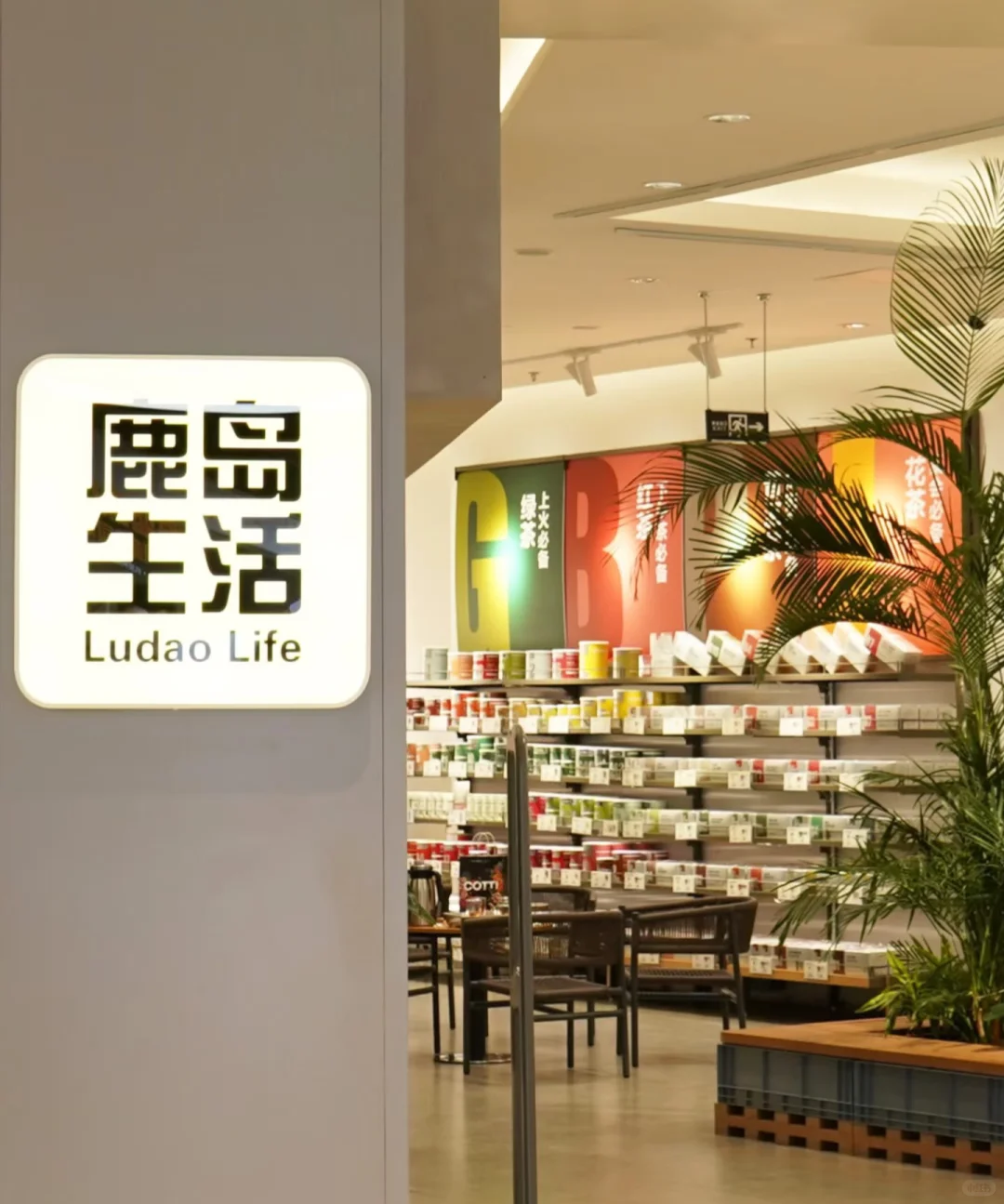 2025到2026年即将进入泰安的品牌！（预测版）