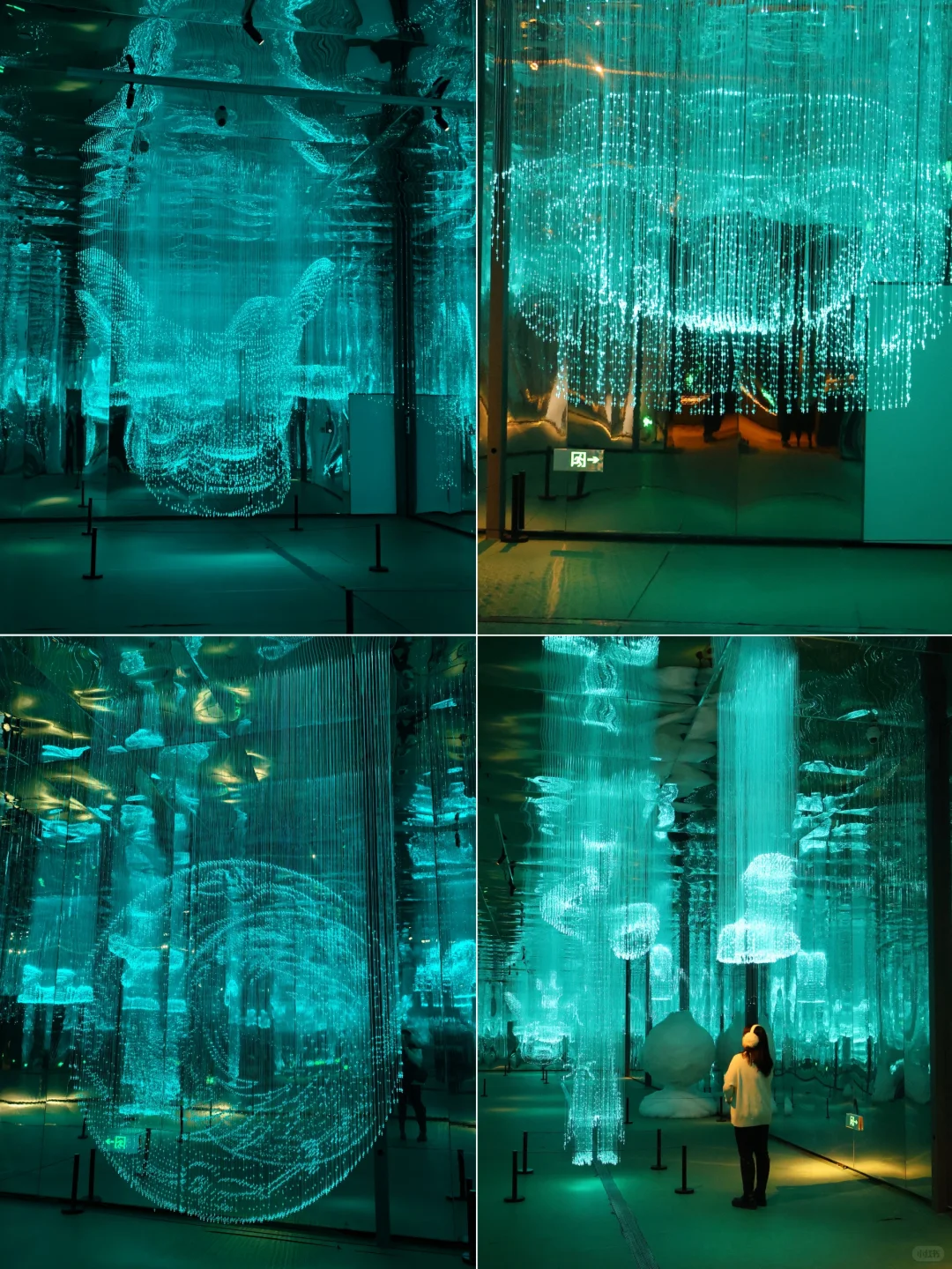 ?2025年第①个中华文明探寻大展·太震撼