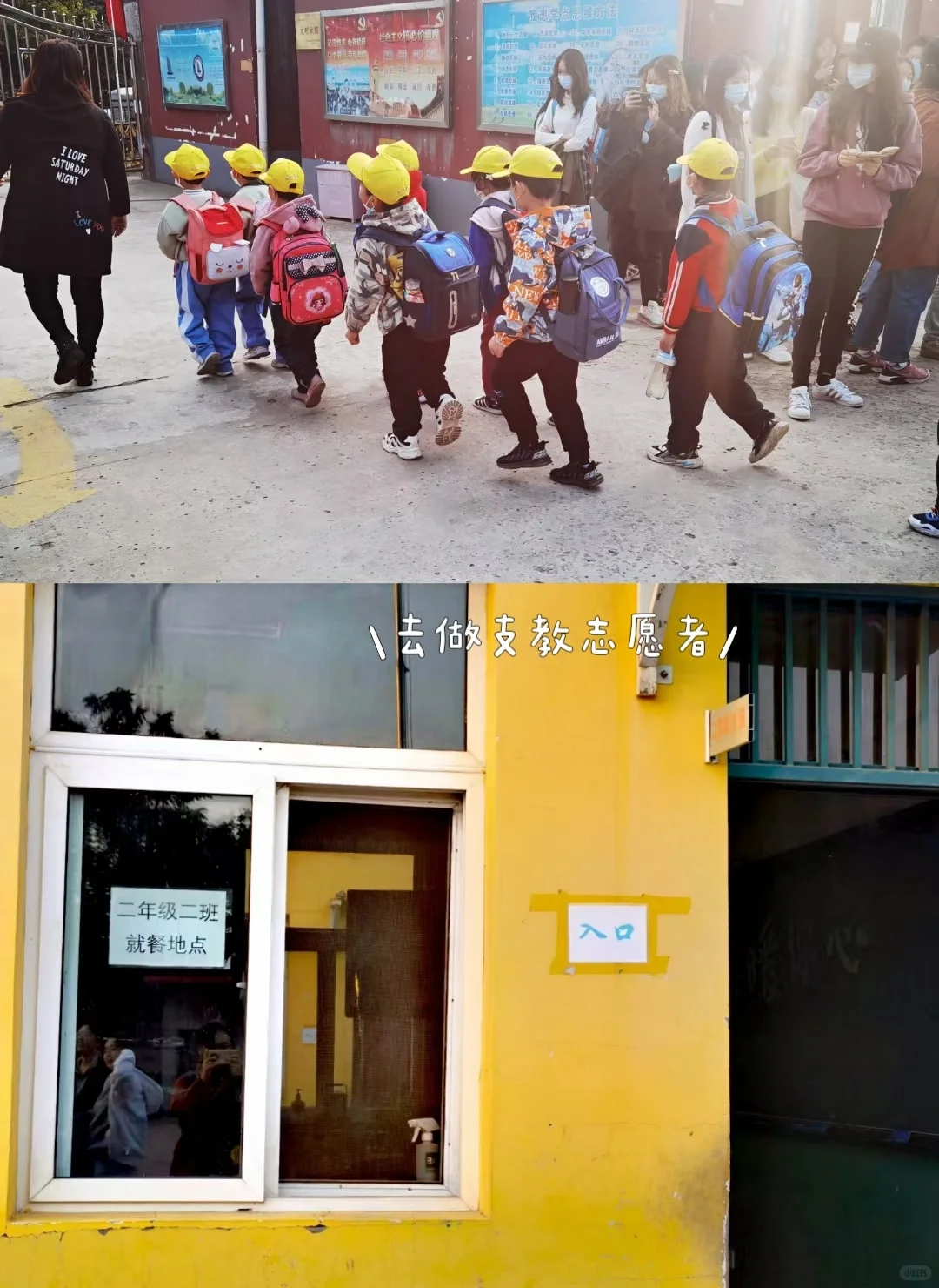 如何报名冬奥、一带一路、支教志愿者(二)