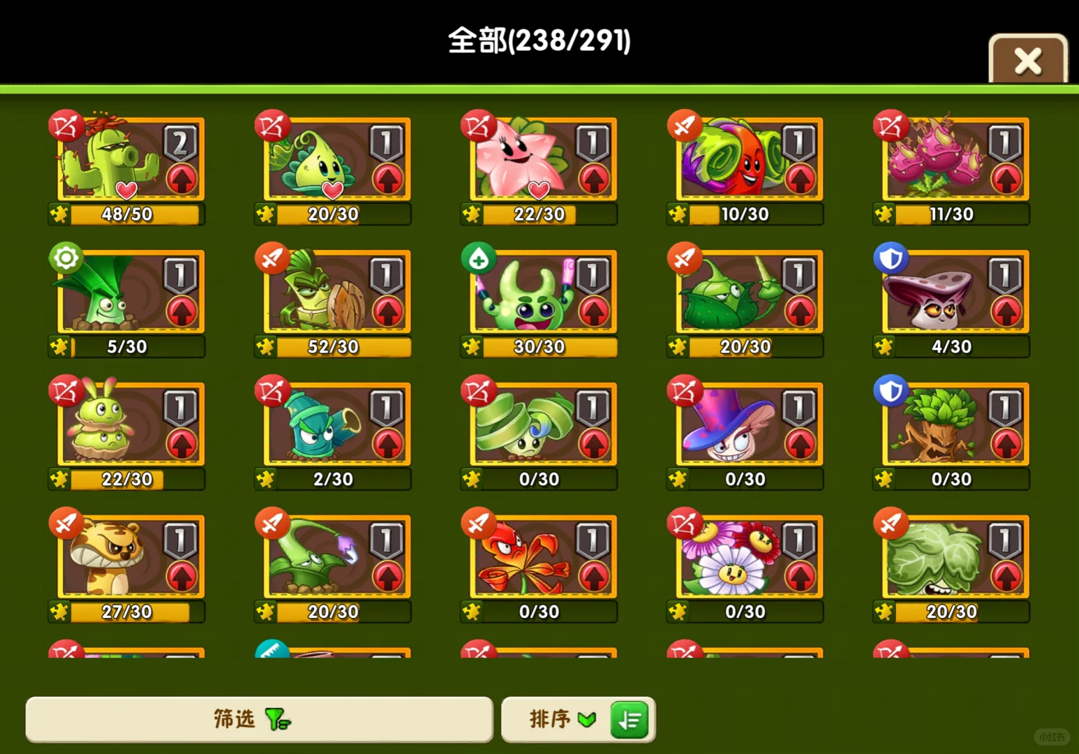 双十一团购买什么！