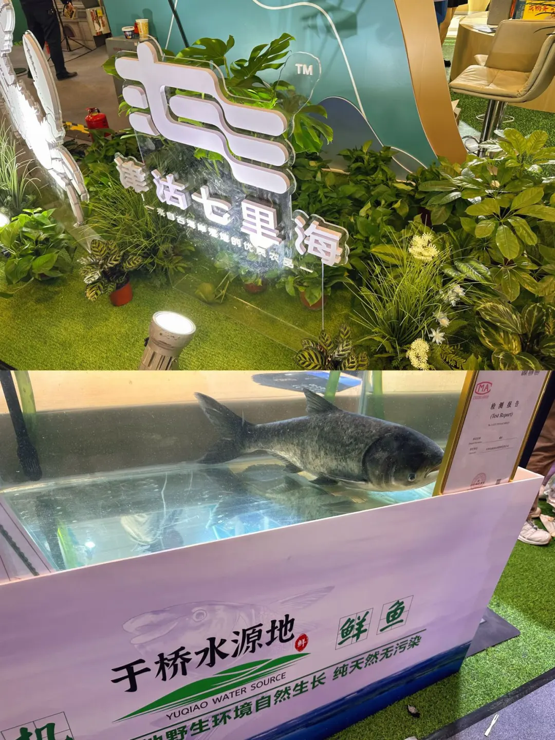 天津！农交会1元往返+万份试吃太疯了！