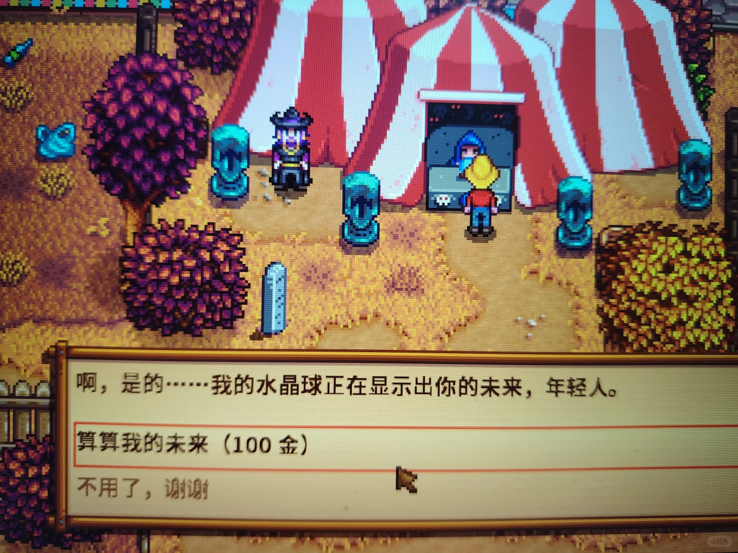 老乡,秋季展览会又来啦~