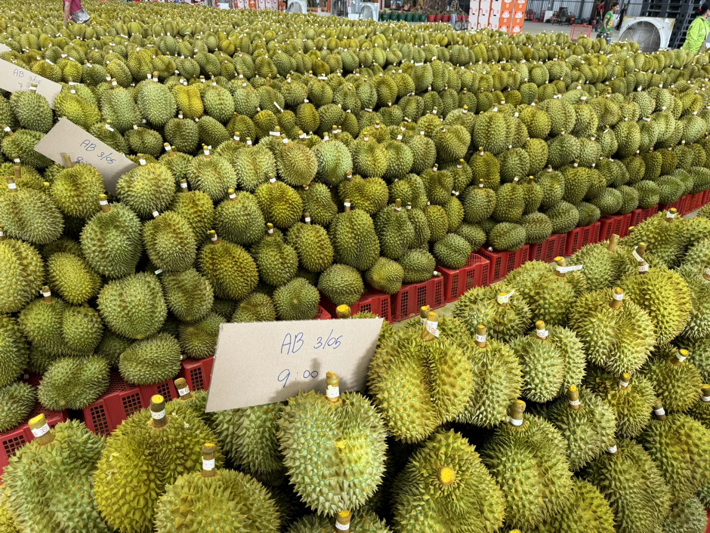 跨境采购榴莲的付款方式