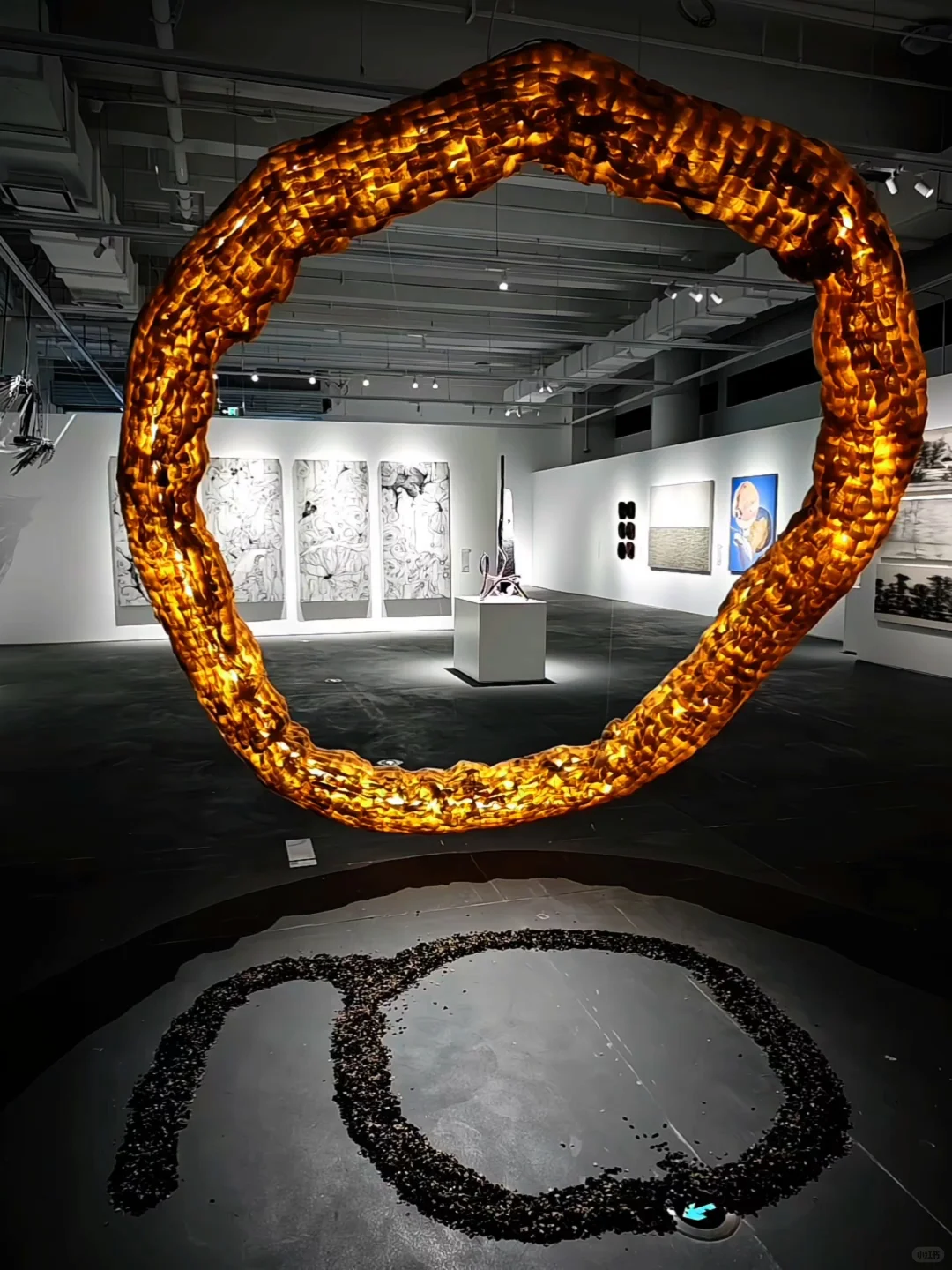 除了震惊还是震惊❗上海近期遇见坠大免费展