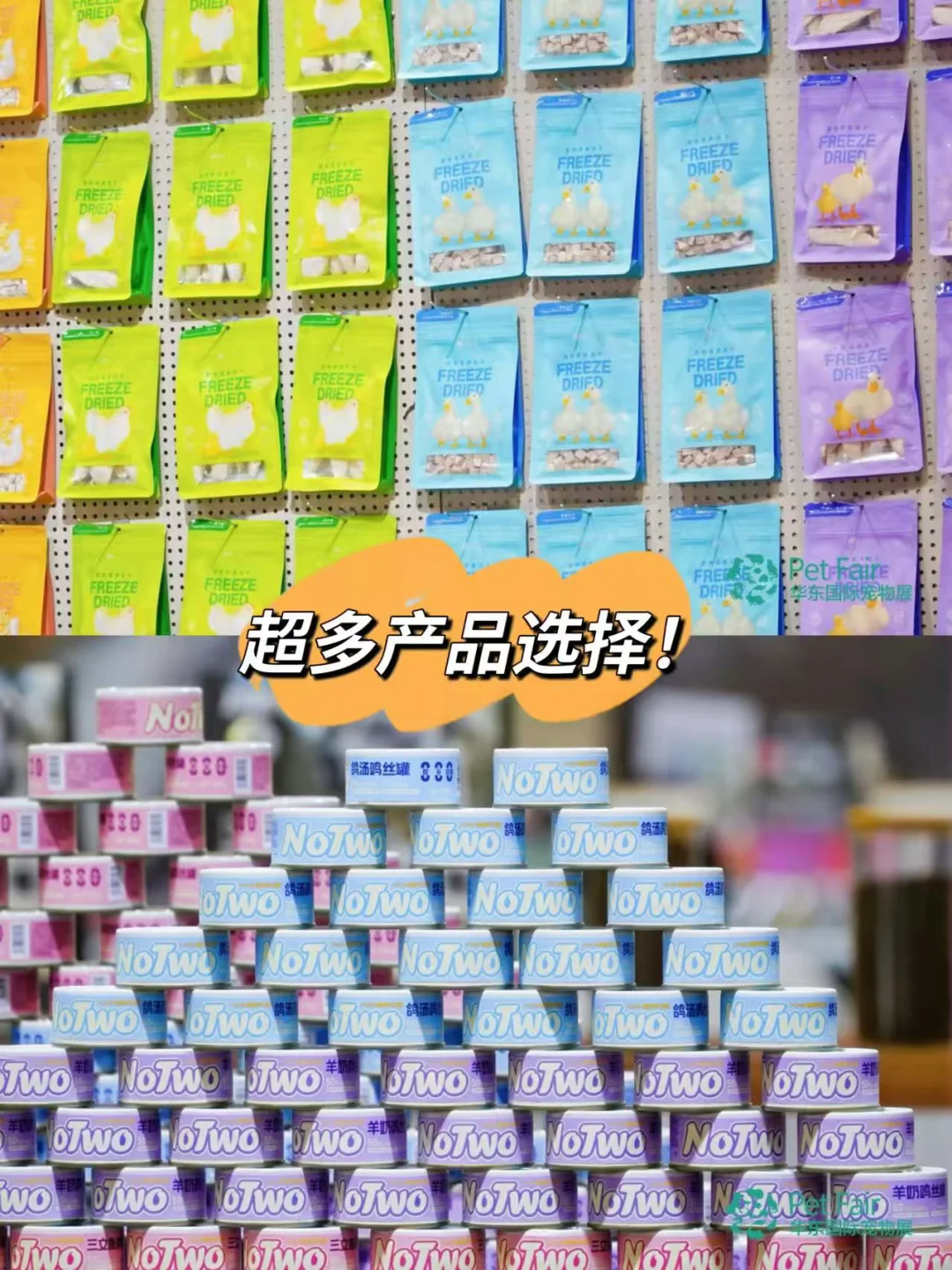 养猫人必冲！华东宠物展攻略