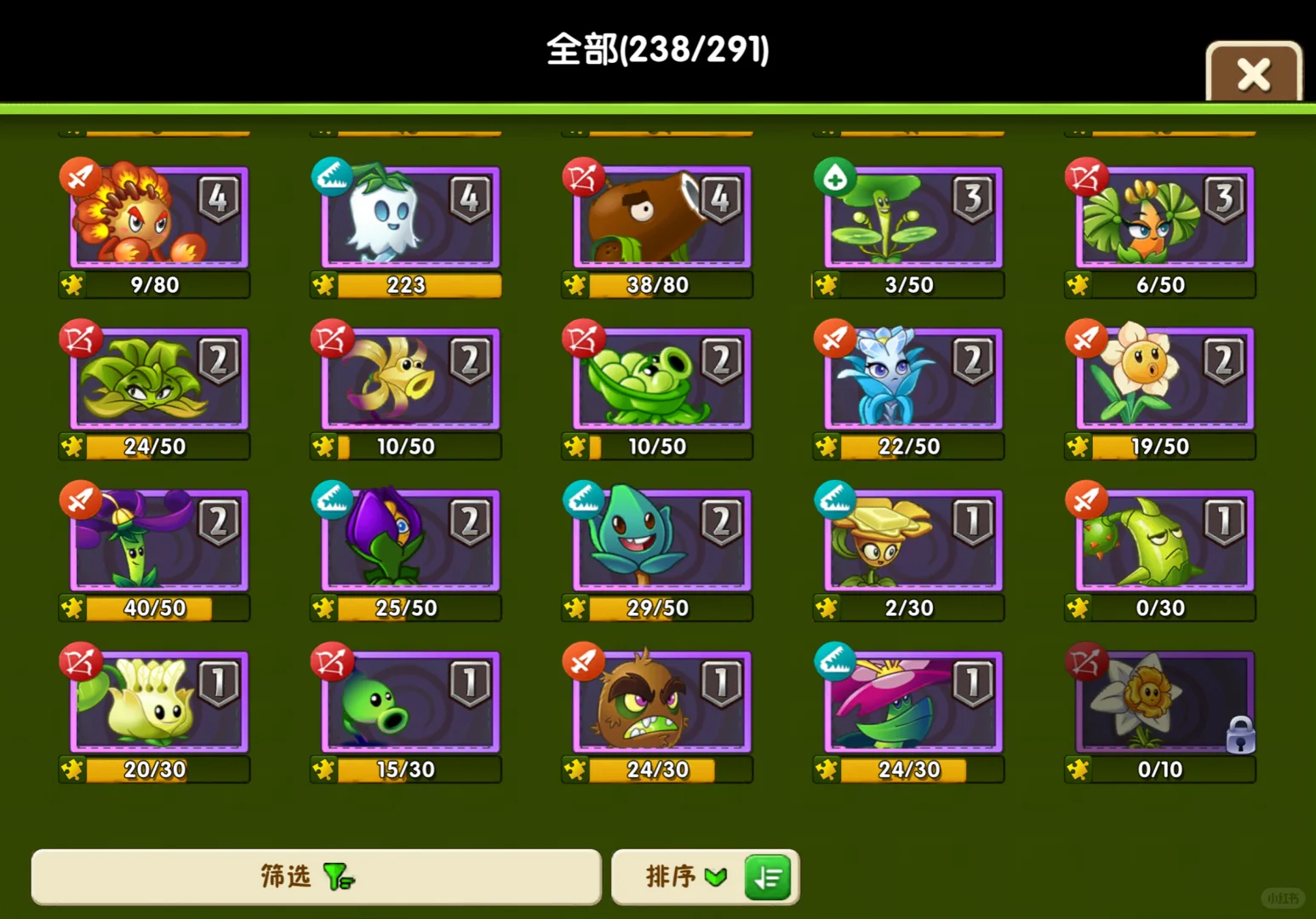双十一团购买什么！