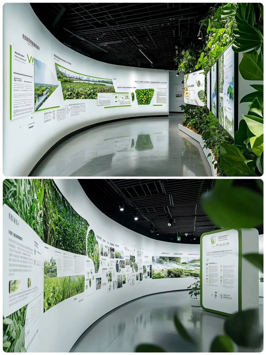? 自然与科技的完美共生 | 沉浸式生态展厅