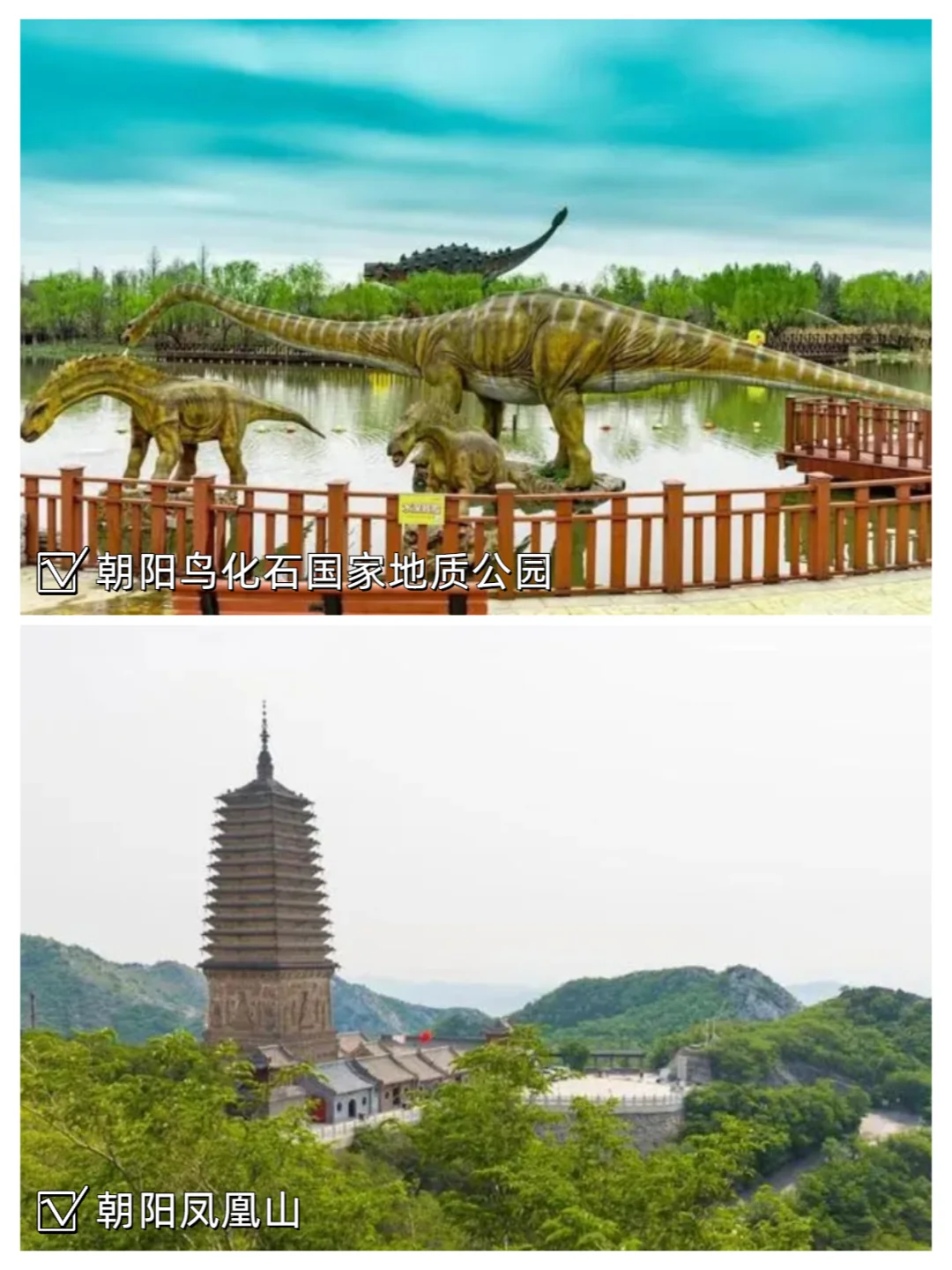 官宣！下一届承办地：朝阳