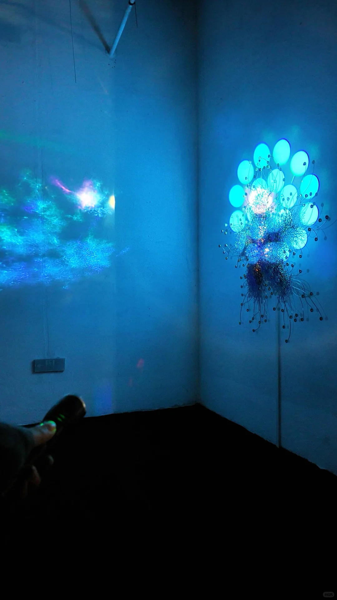 深圳绝美新展❕免费的❗️超震撼的裸眼3D光影