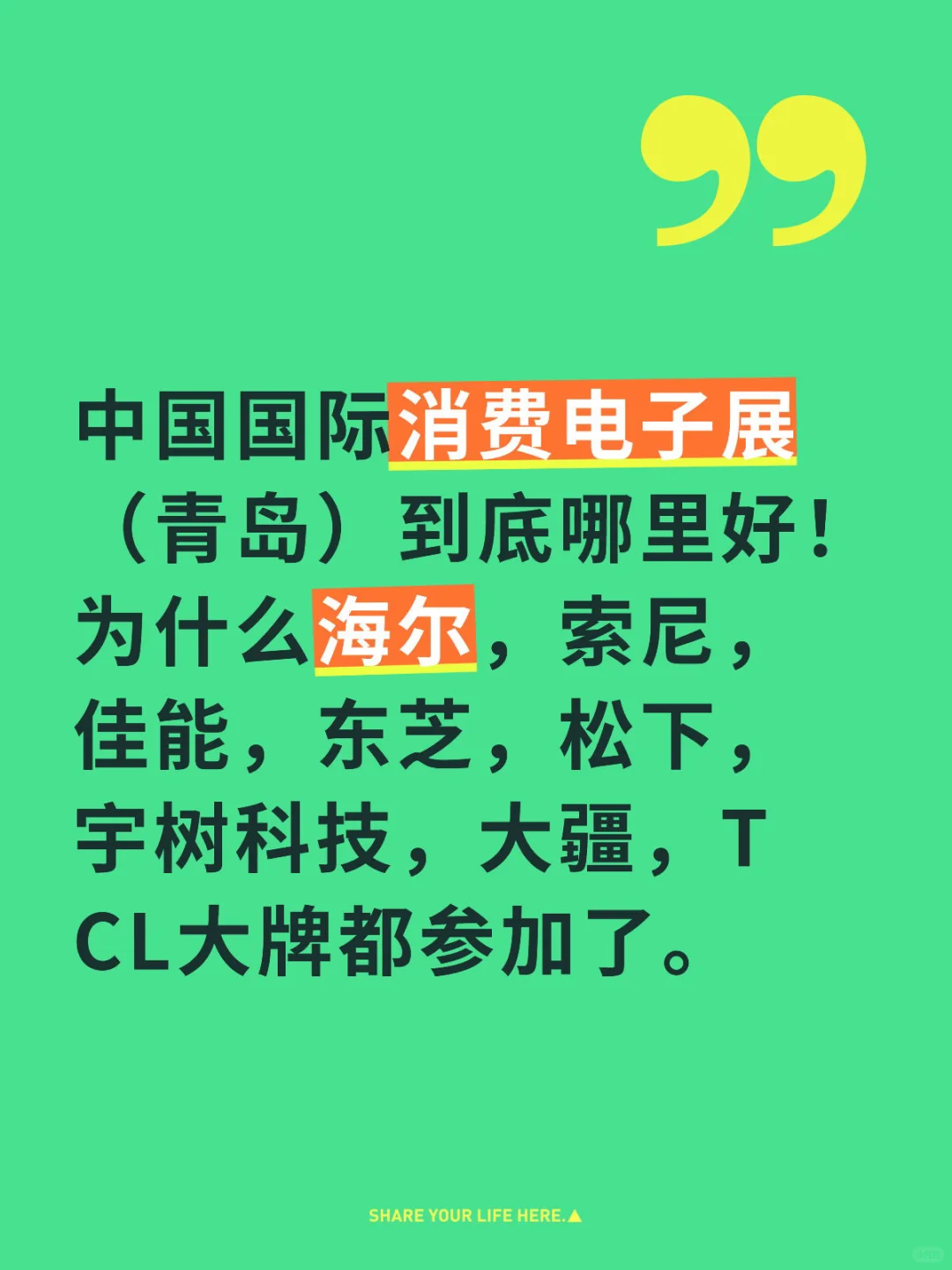 智展贸国际
