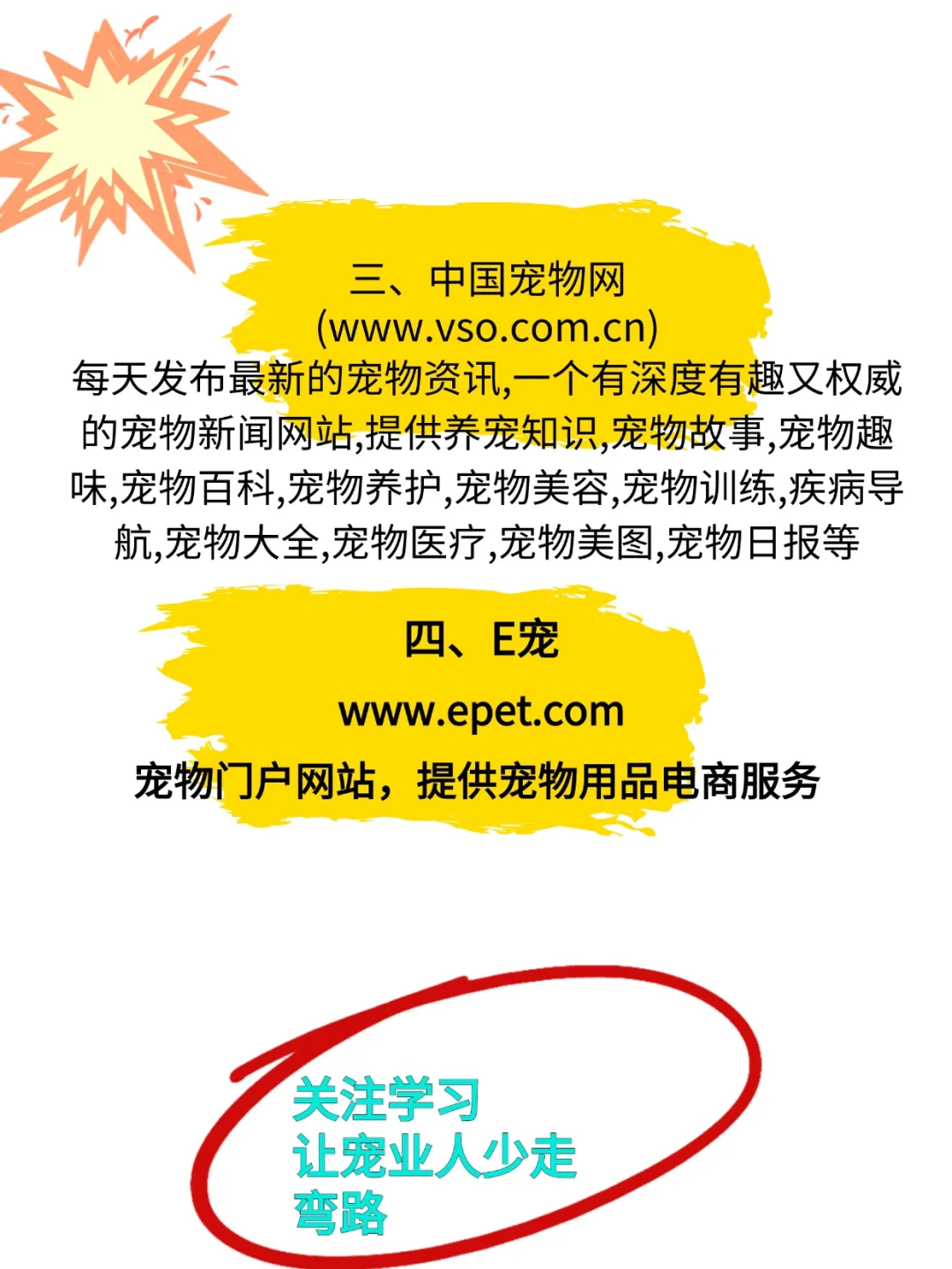 宠物行业6大神仙网站,你是否了解这些工具