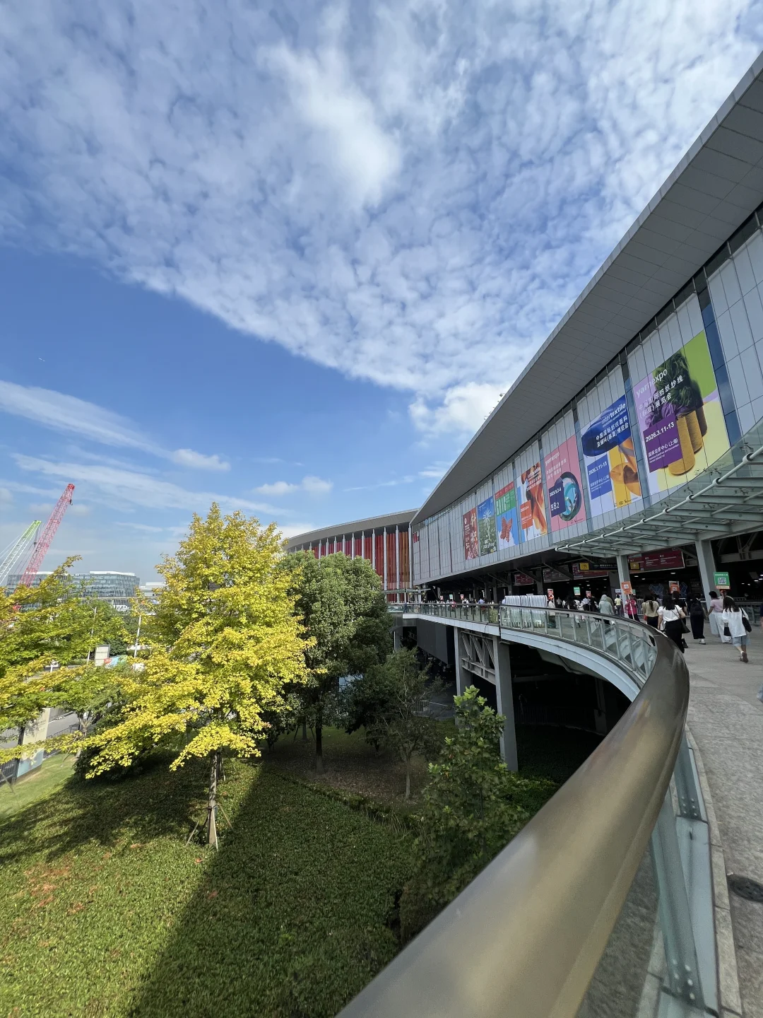 在上海会展中心看个羊毛面料展被哄成胚胎