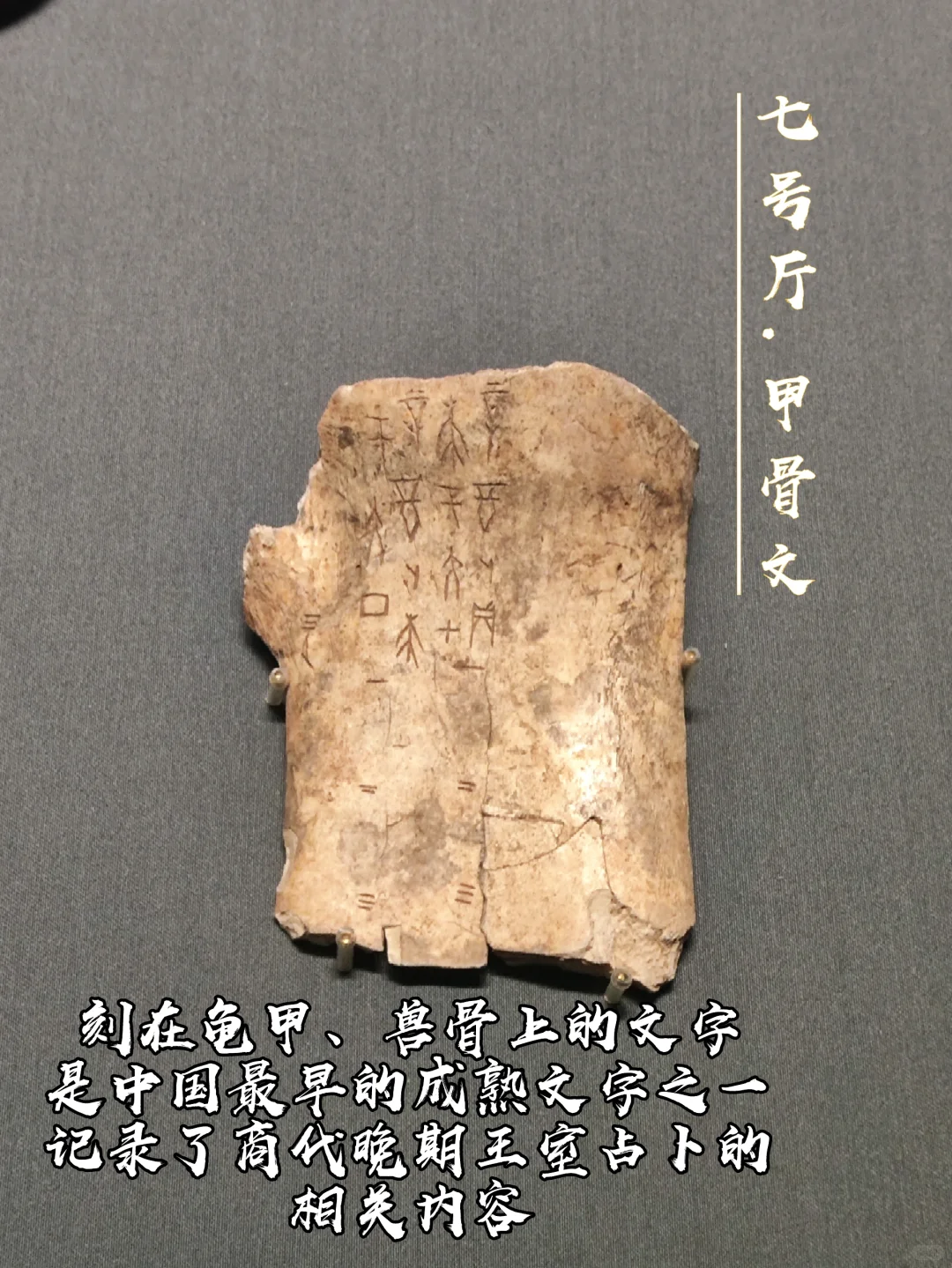 山东博物馆十大镇馆之宝