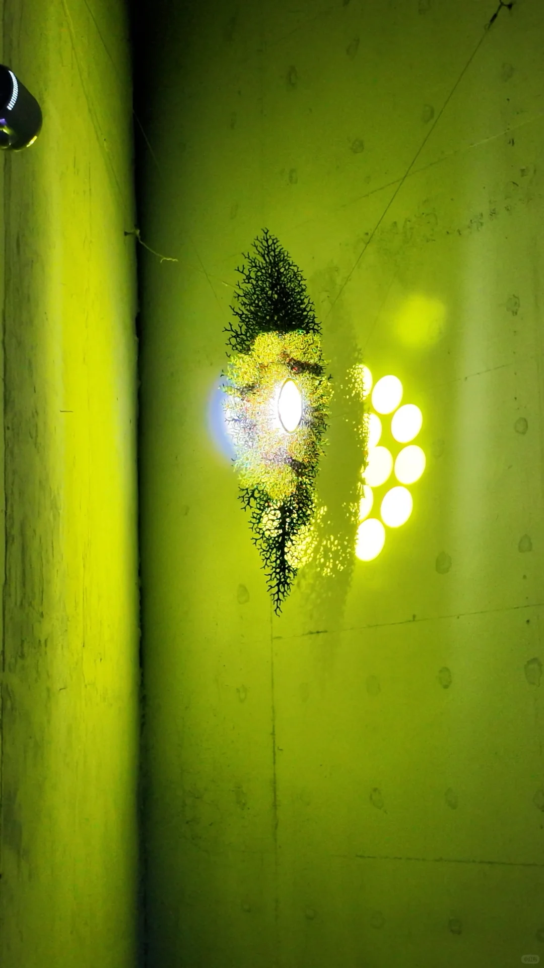 深圳绝美新展❕免费的❗️超震撼的裸眼3D光影