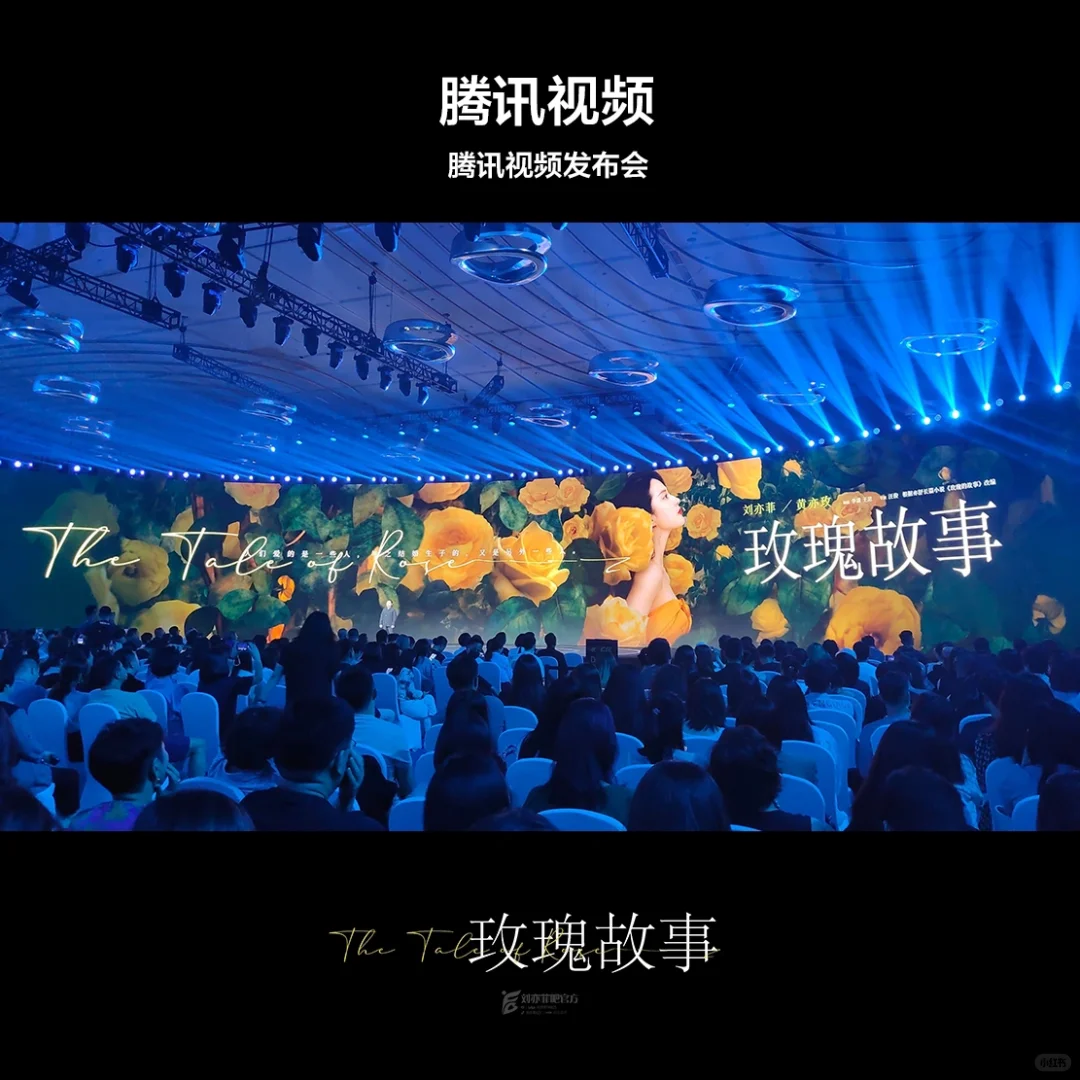 玫瑰故事登央视、浙江、江苏、北京等招商会
