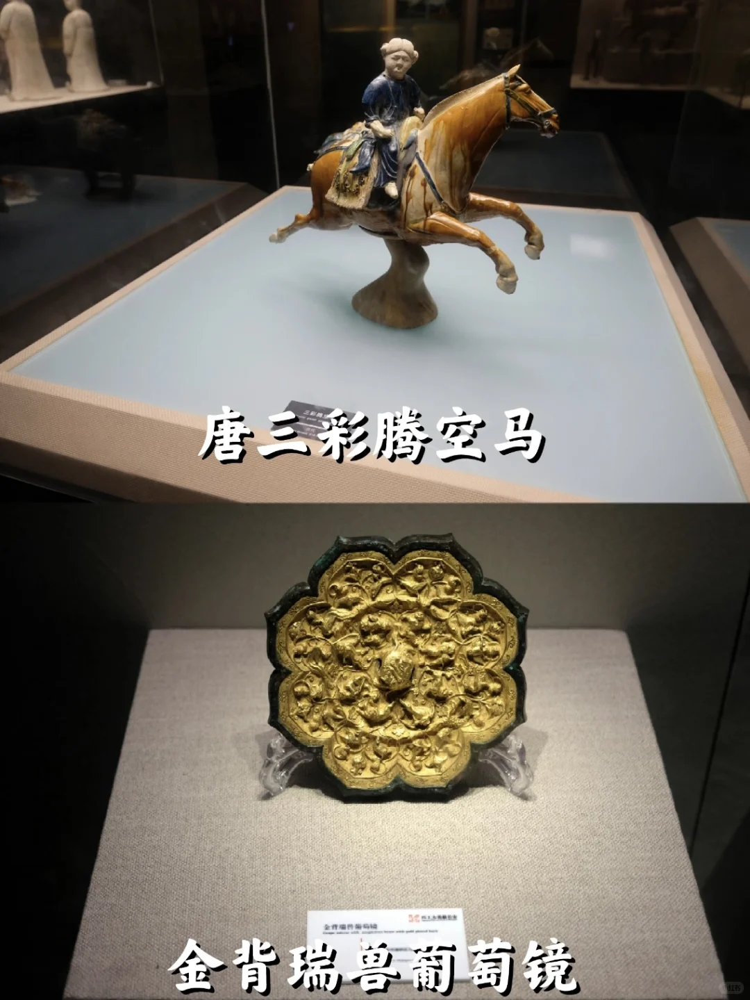 ?️西安博物院游玩攻略~